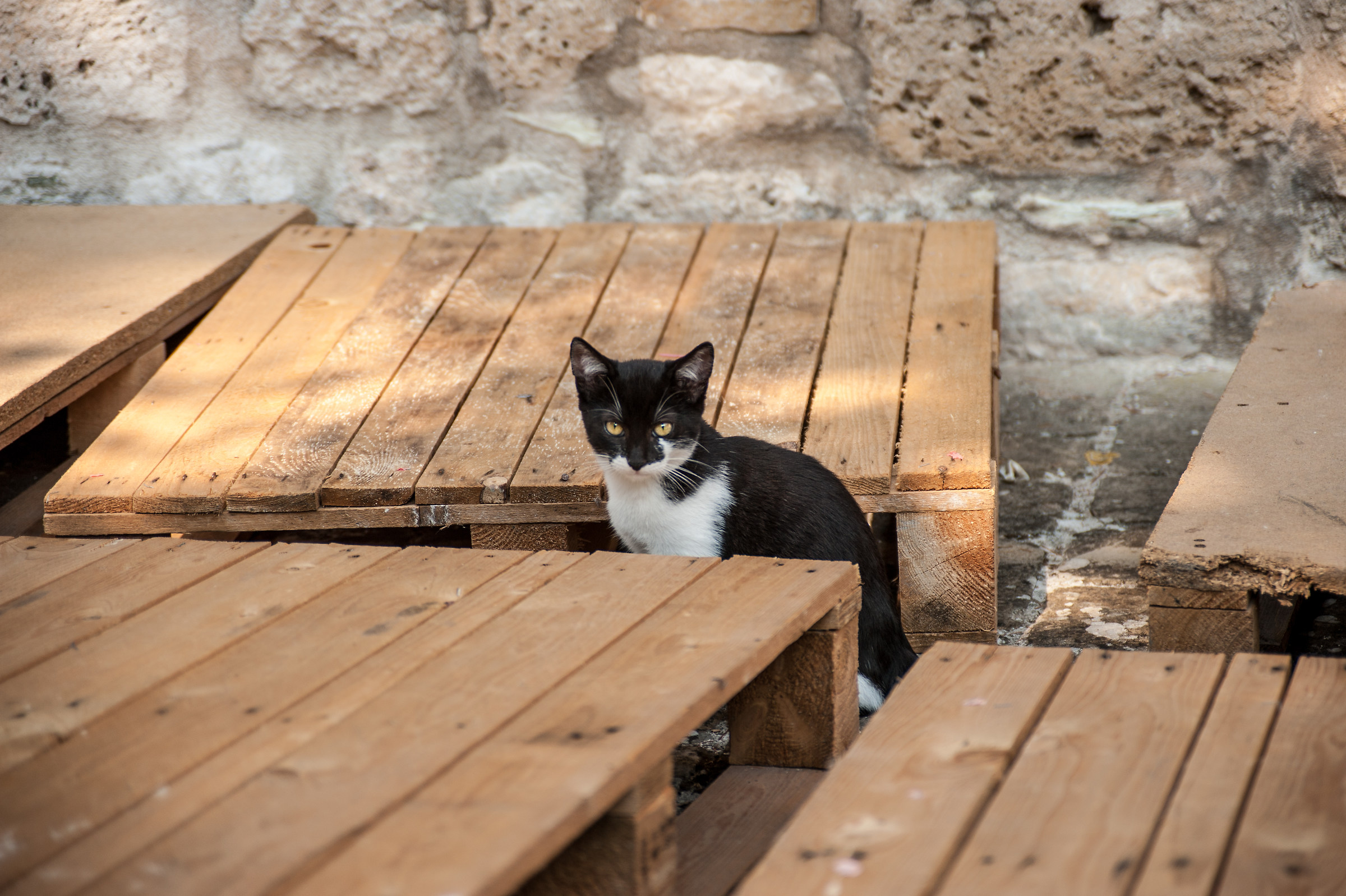 The guardian of the gardens of Pioraco