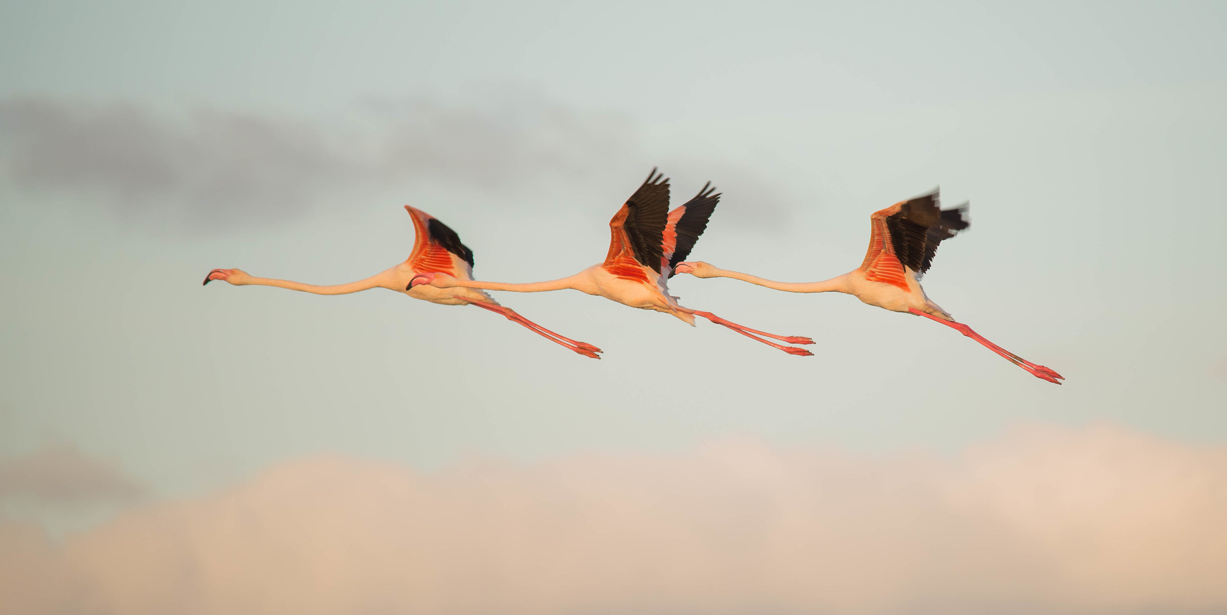 Father, son and holy spirit