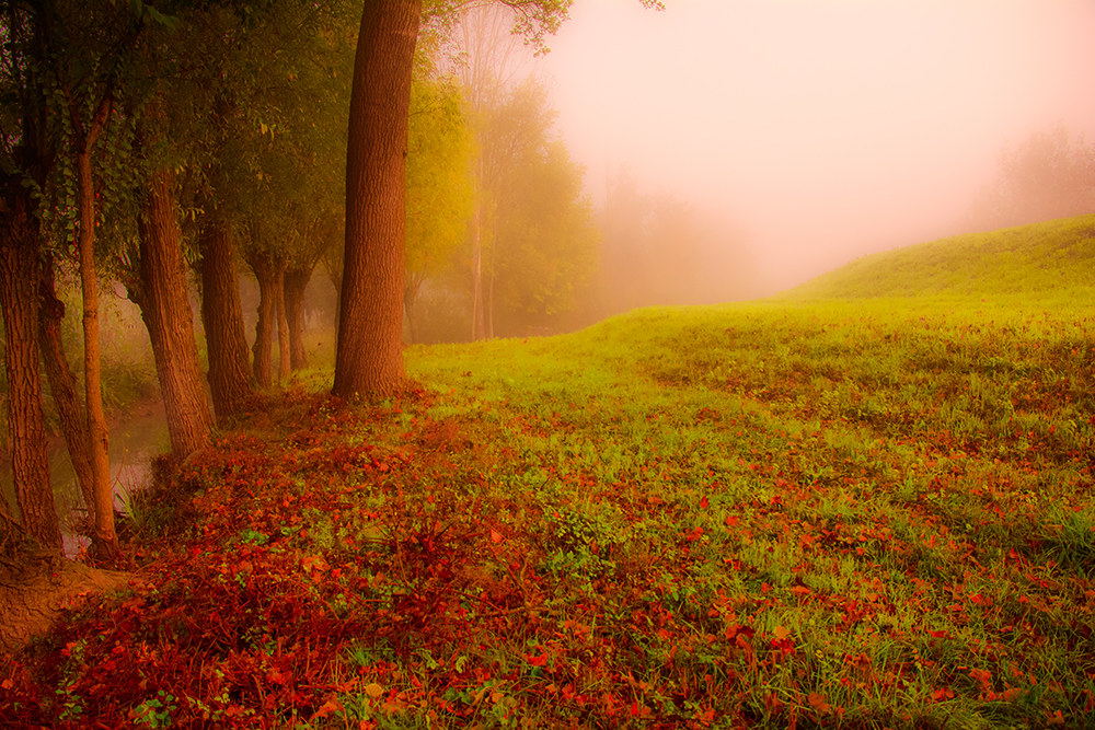 autumn mist