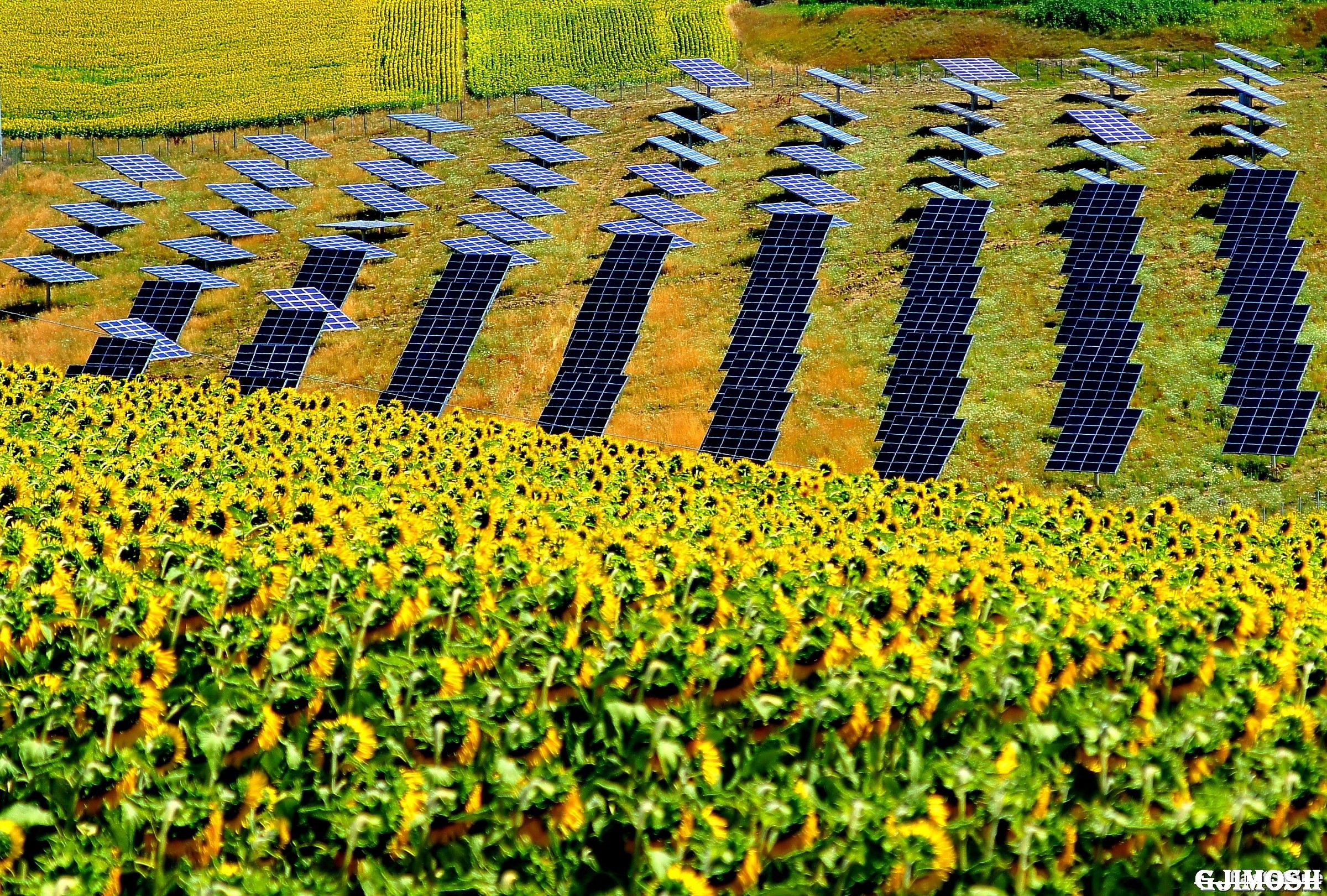 "Agriculture bionic"