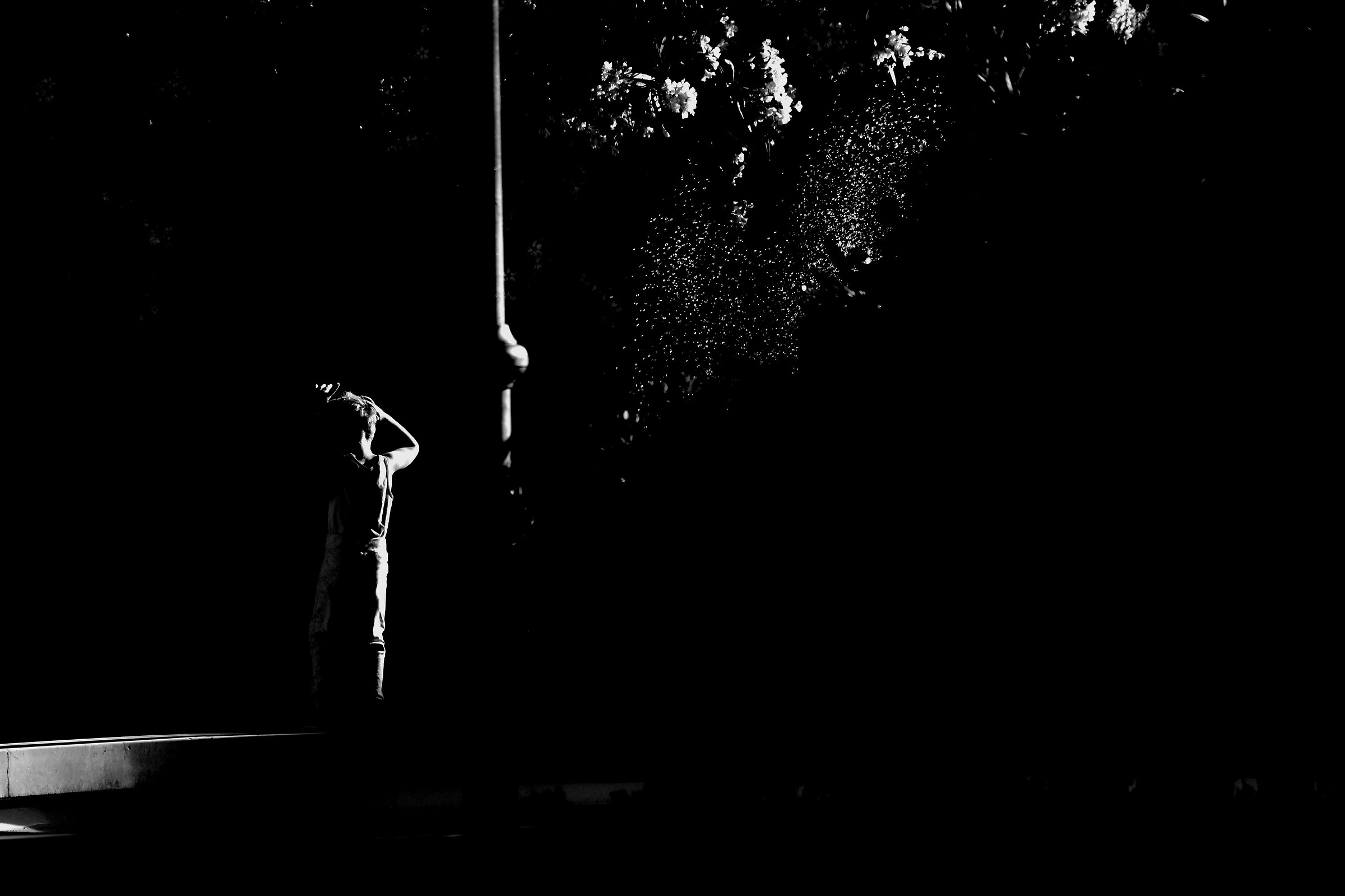 La traccia del pansiero.