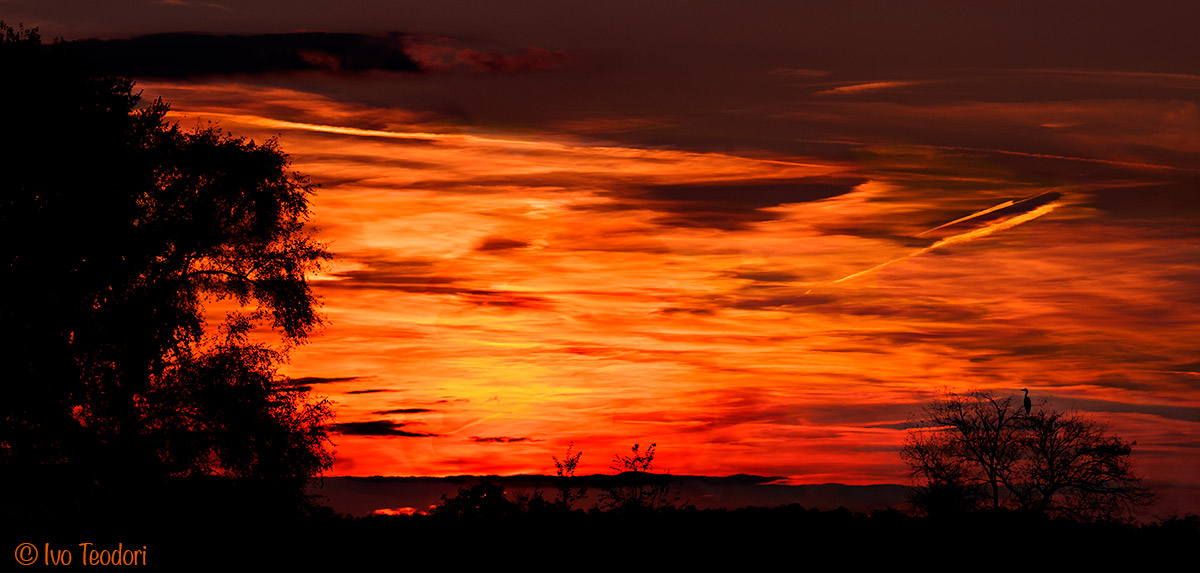 Bewitched by sunset.