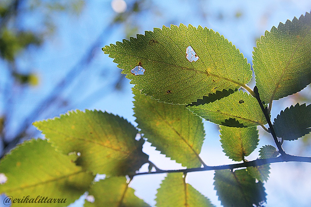 Immerse yourself in nature ..