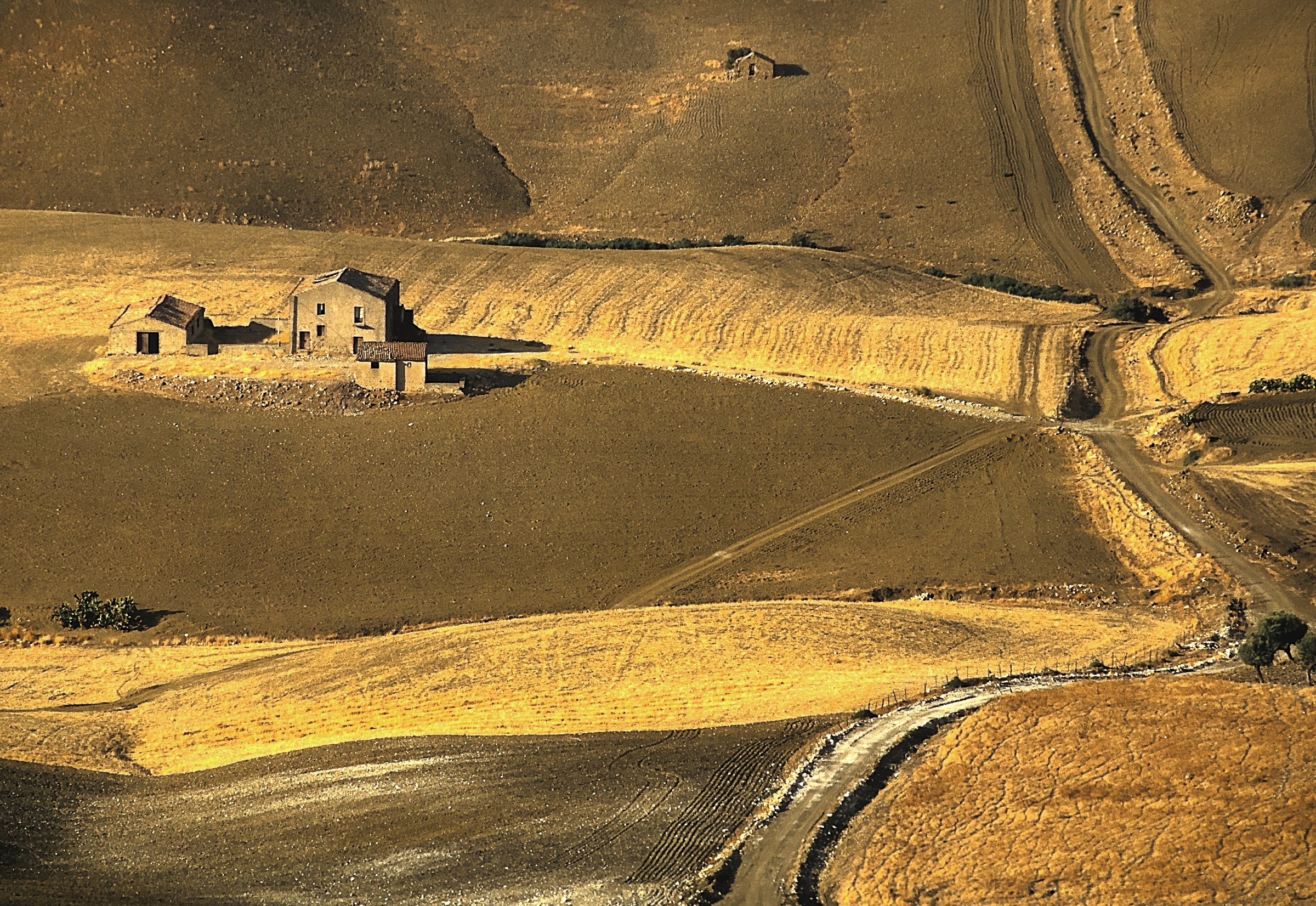 Paesaggio monocromatico