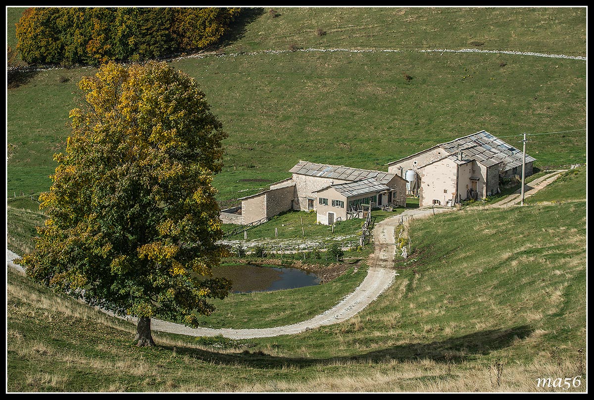 Lessinia: go to pastures