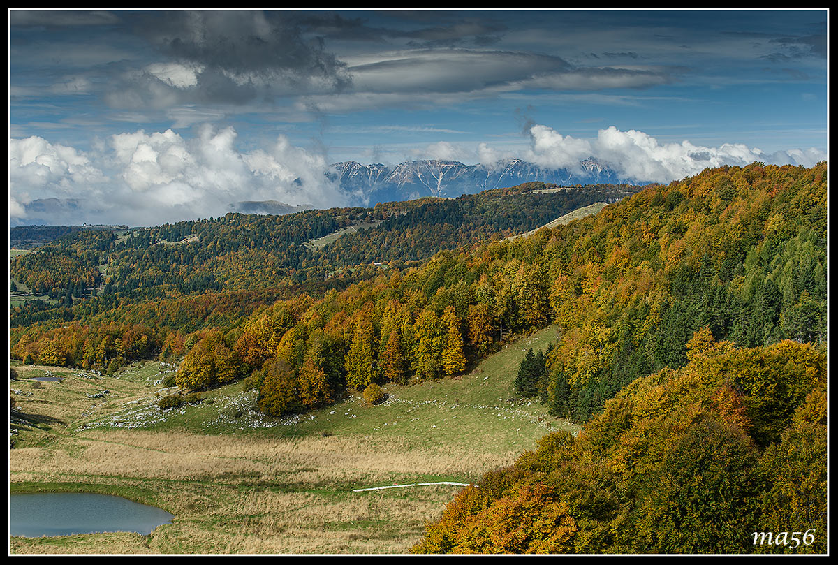 Lessinia: go to pastures