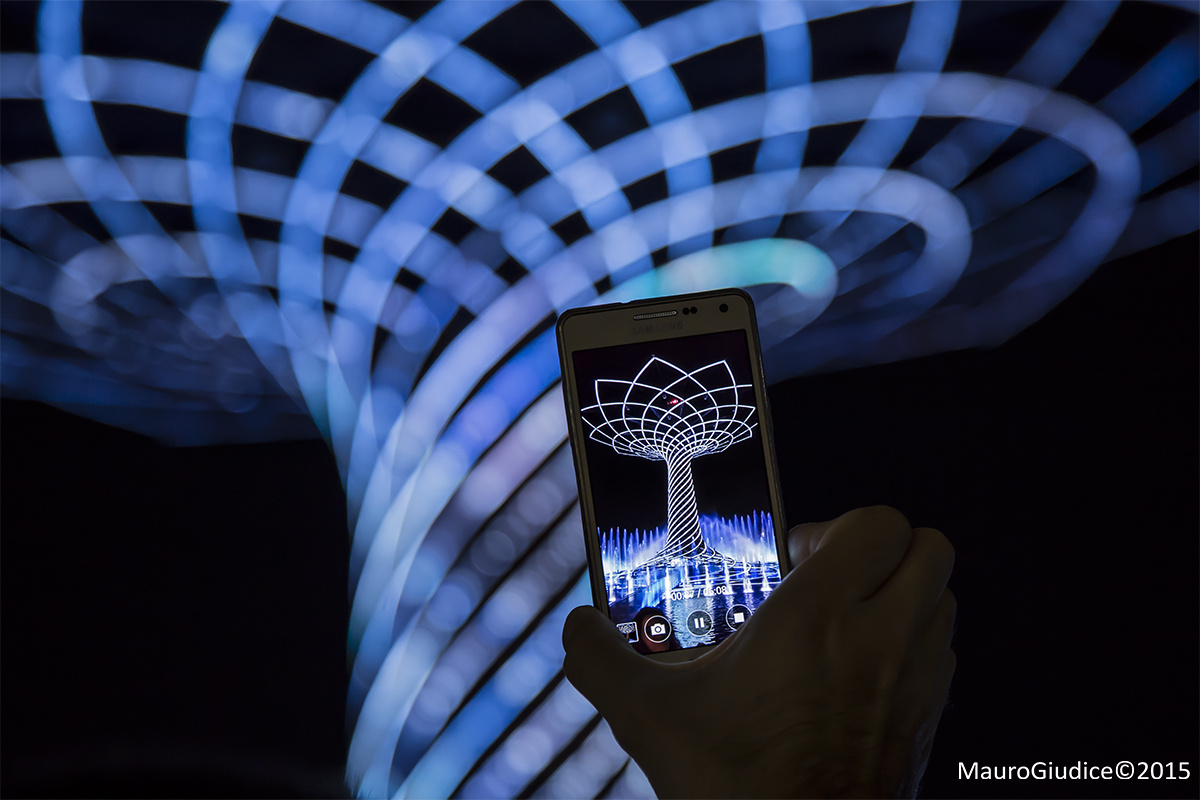 The Tree of Life Expo 2015