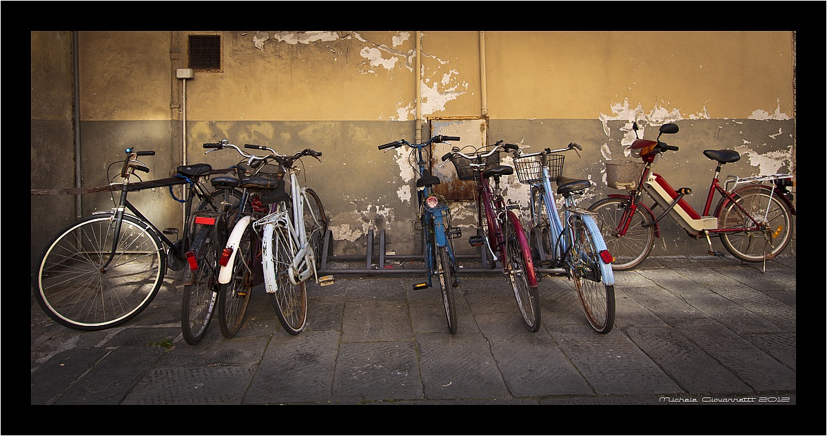 Bicycle Lucca