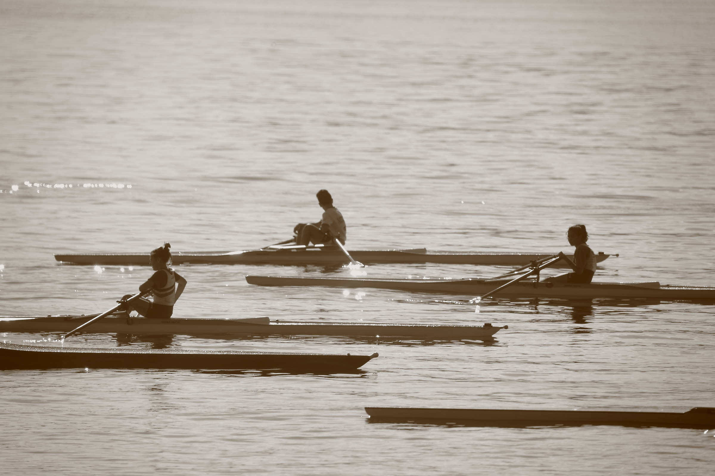 Canottaggio 2