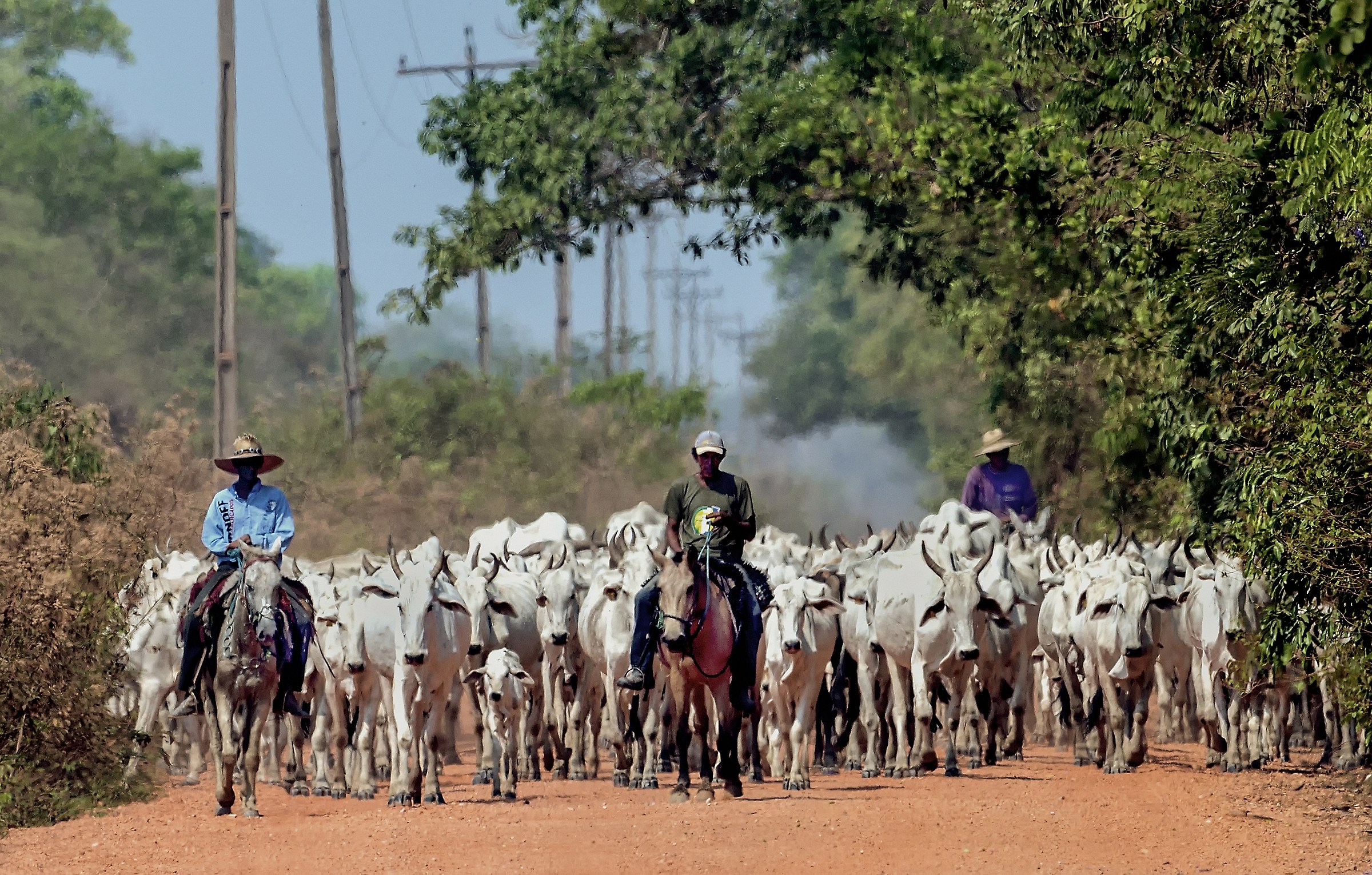 Pantanal 2015 - Pantaneros