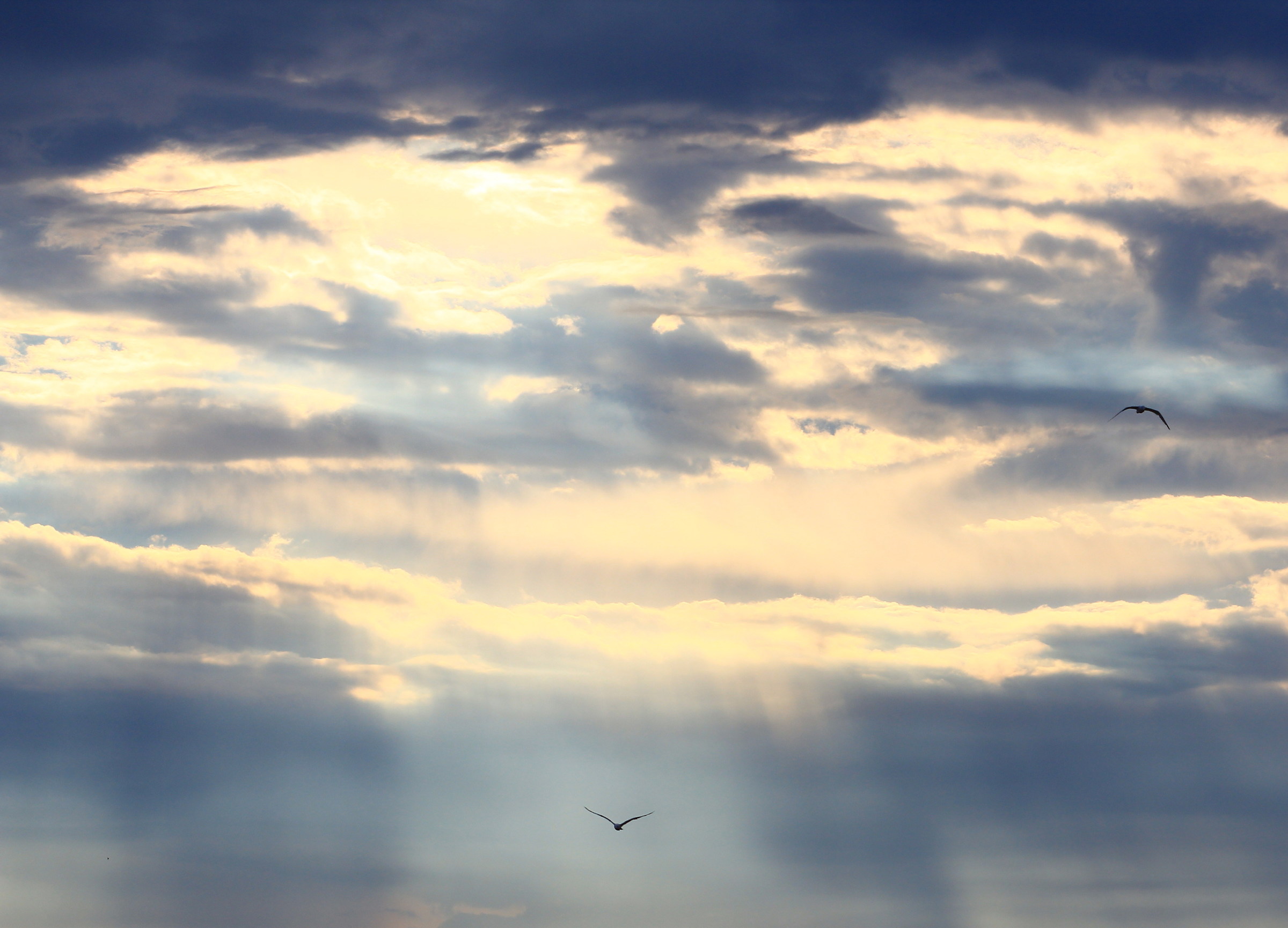 L'estate sta finendo