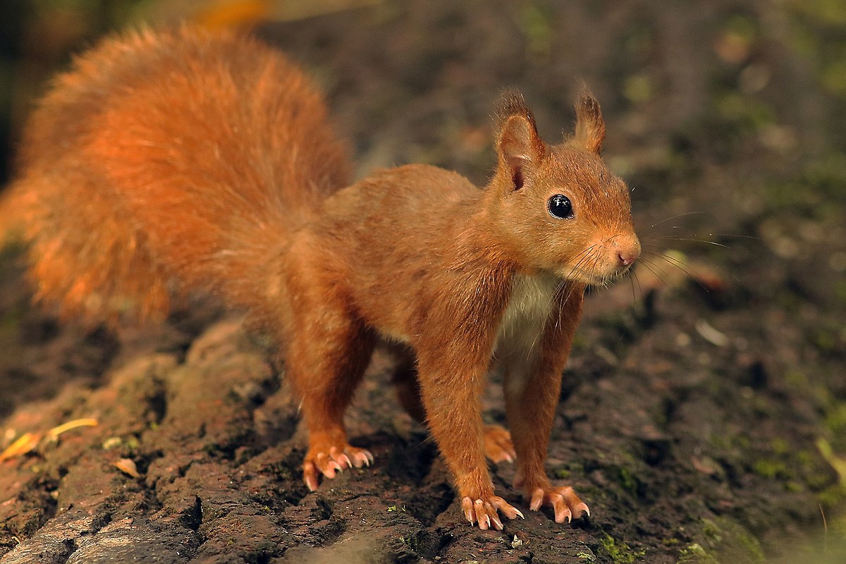 meraviglia della natura!!