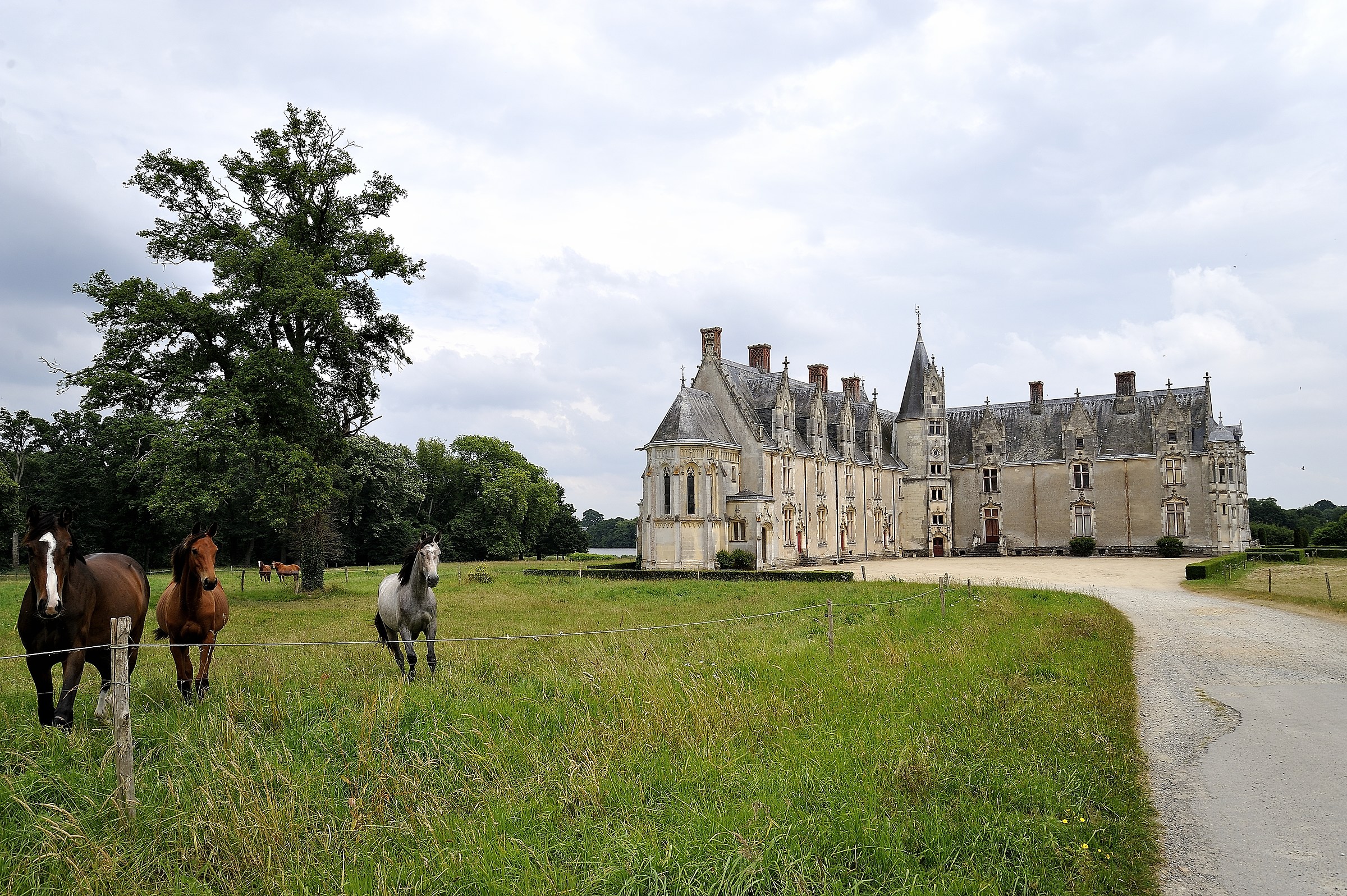 Chateau de la Gacherie
