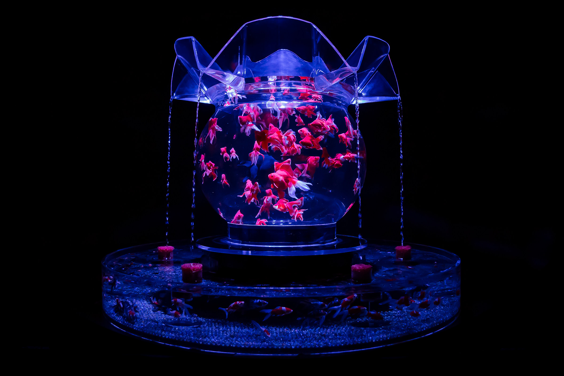 La febbre del sabato sera