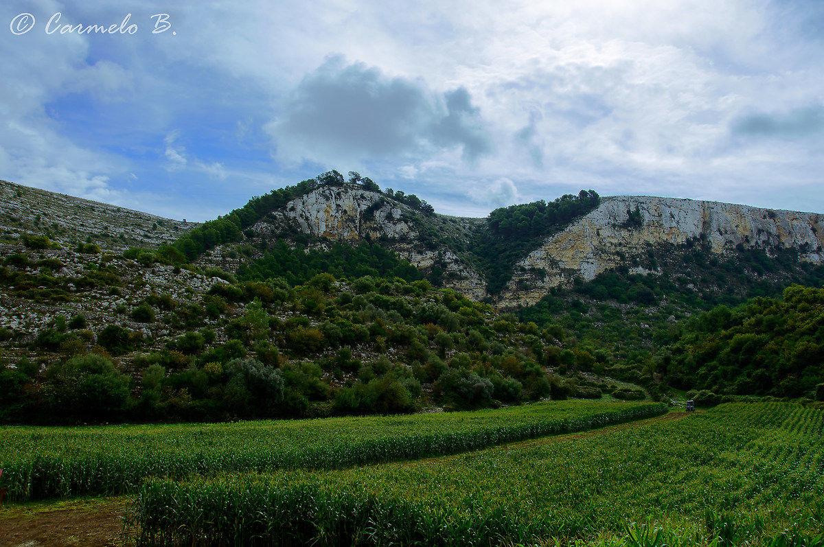 Colline di Bussello 2