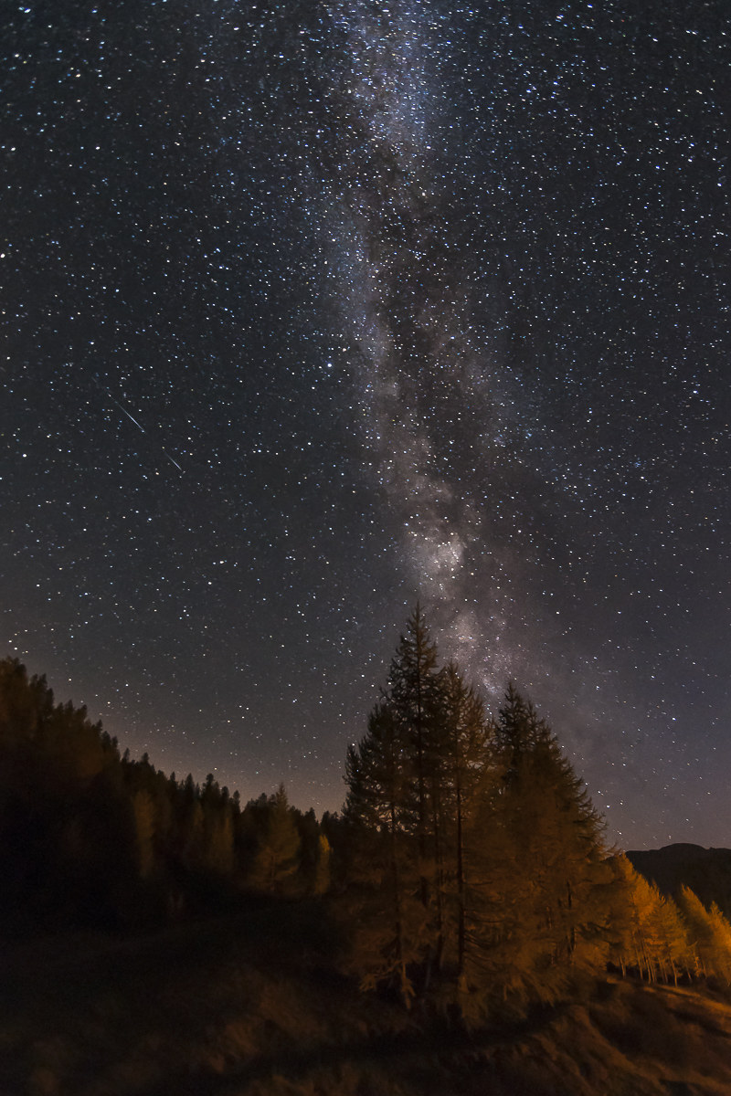 Dai larici di Devero