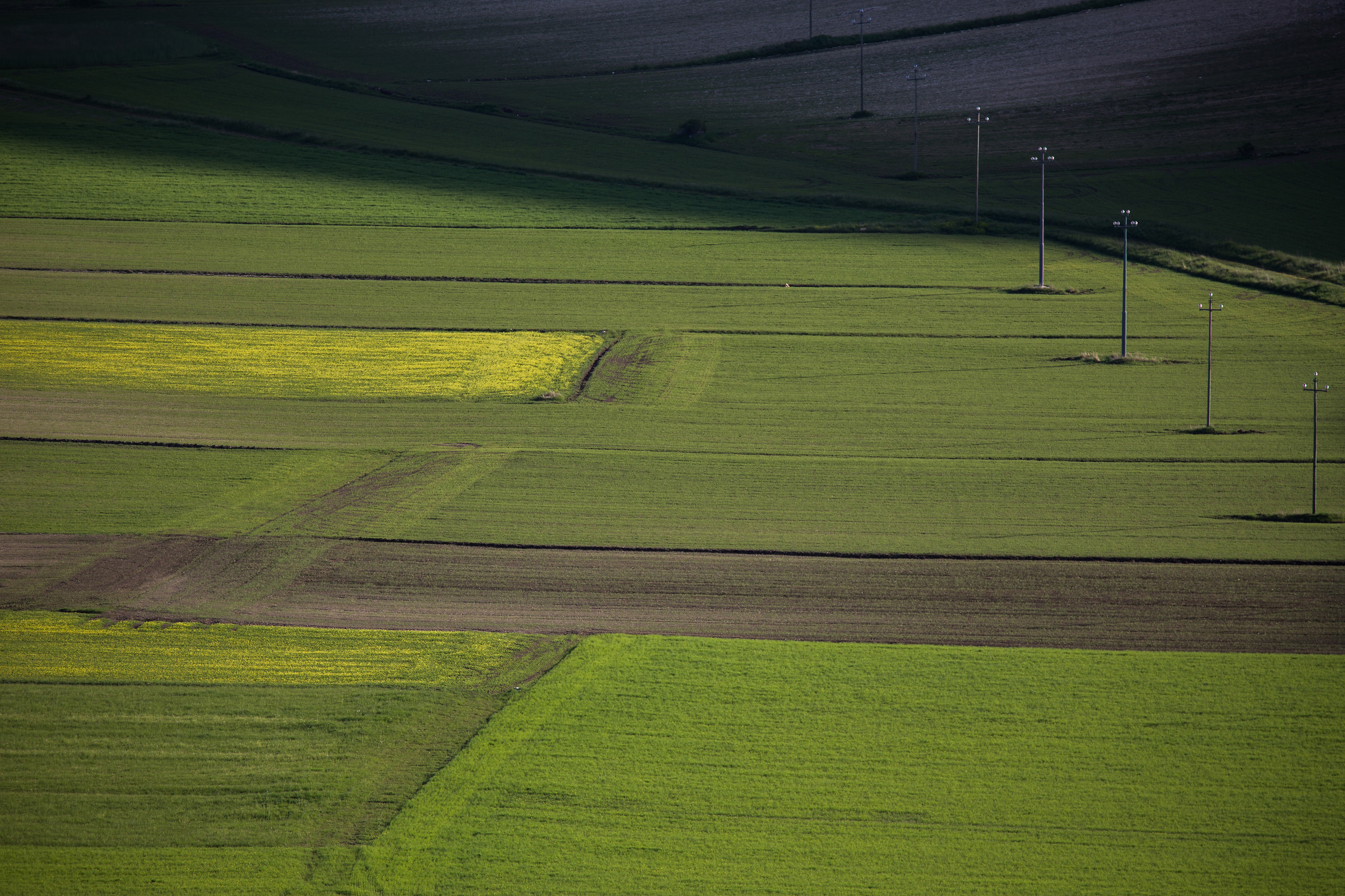Pian grande senza colori