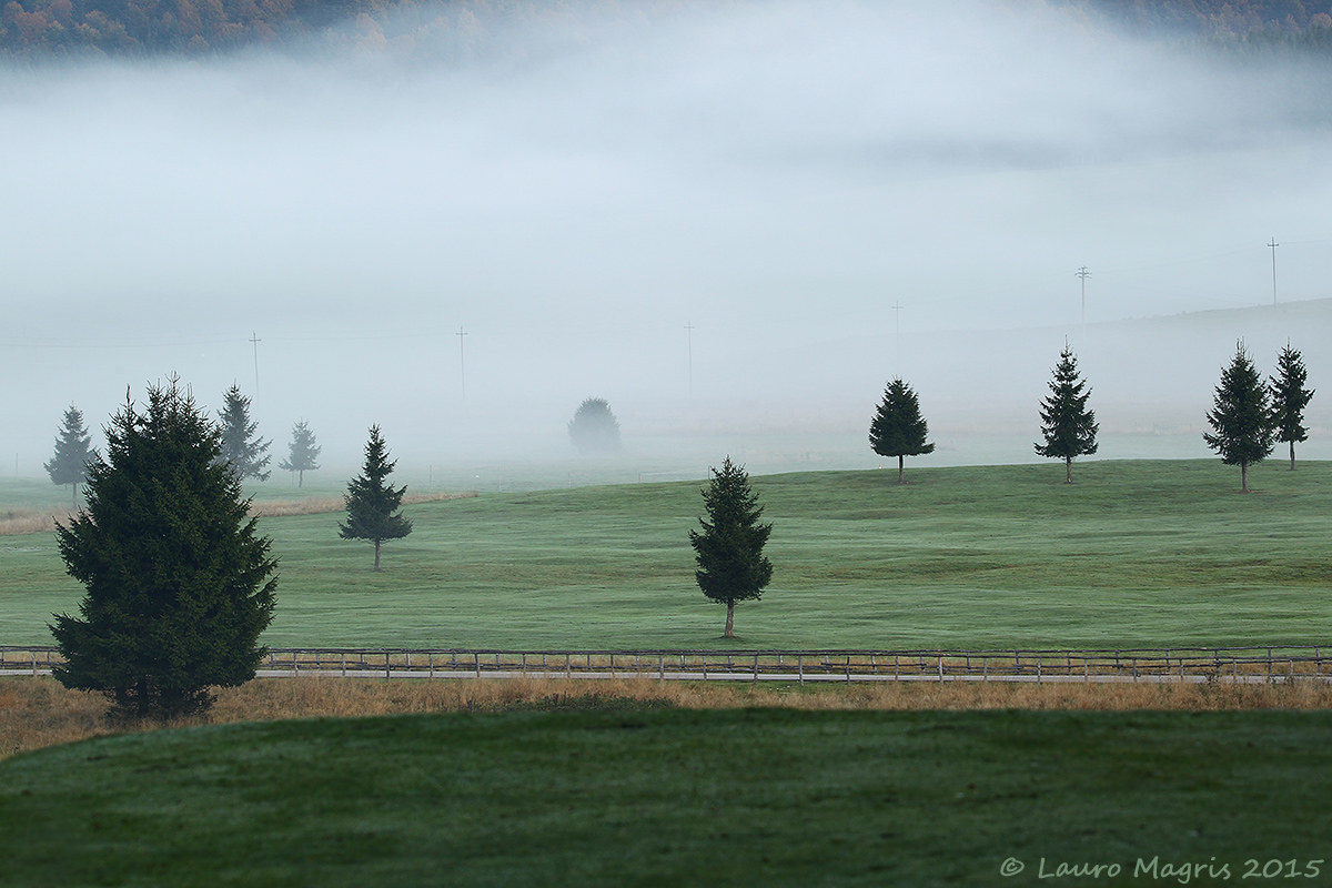 Verticali nella nebbia