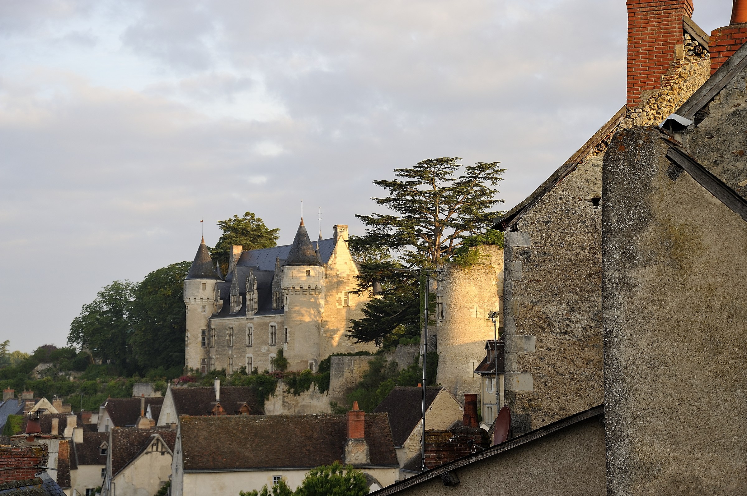 Chateau de Montresor