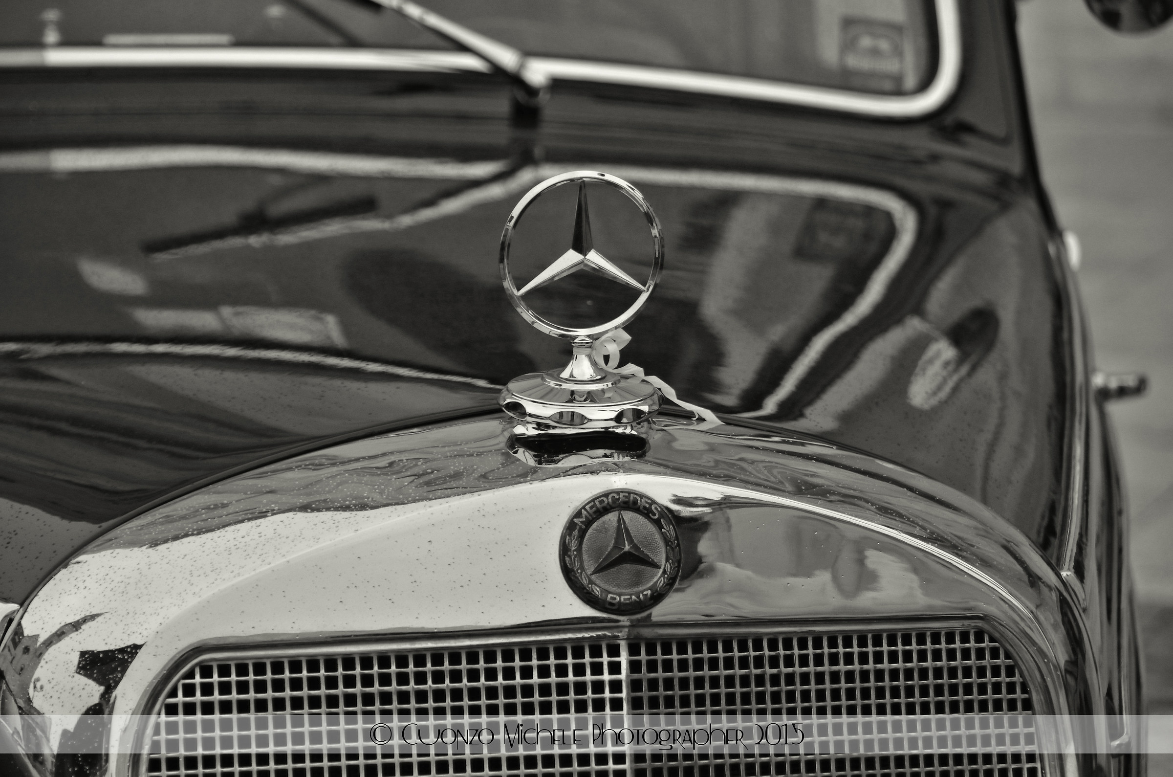 Sapori Murgiani 2015 ,manifestazione a Palo del Colle