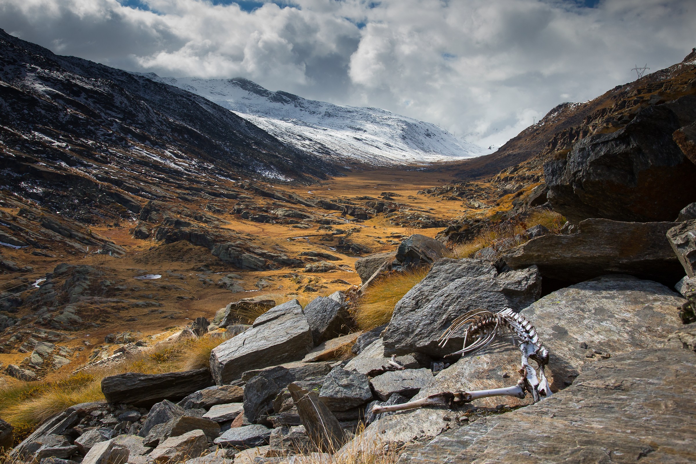 Morte sull'altopiano