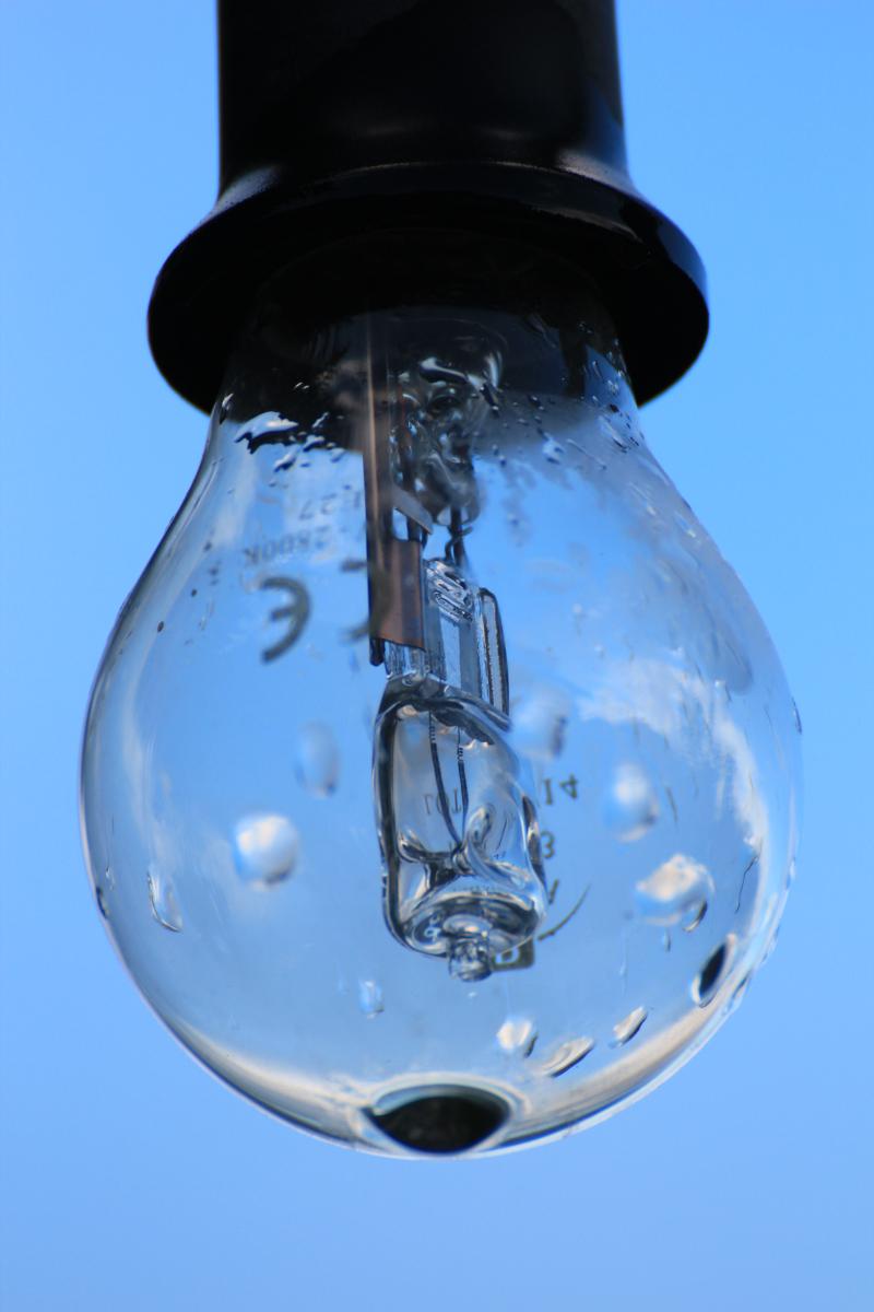 bulb