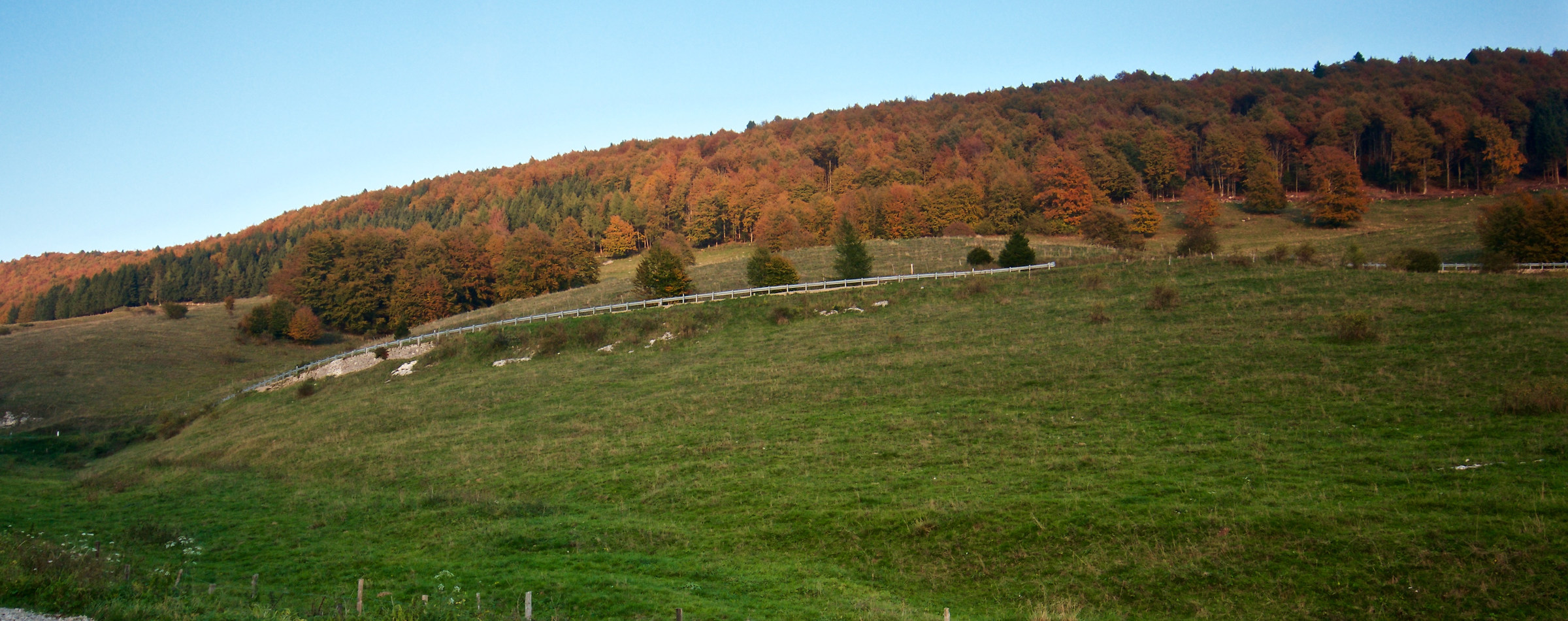 Autumn colors in celebration.