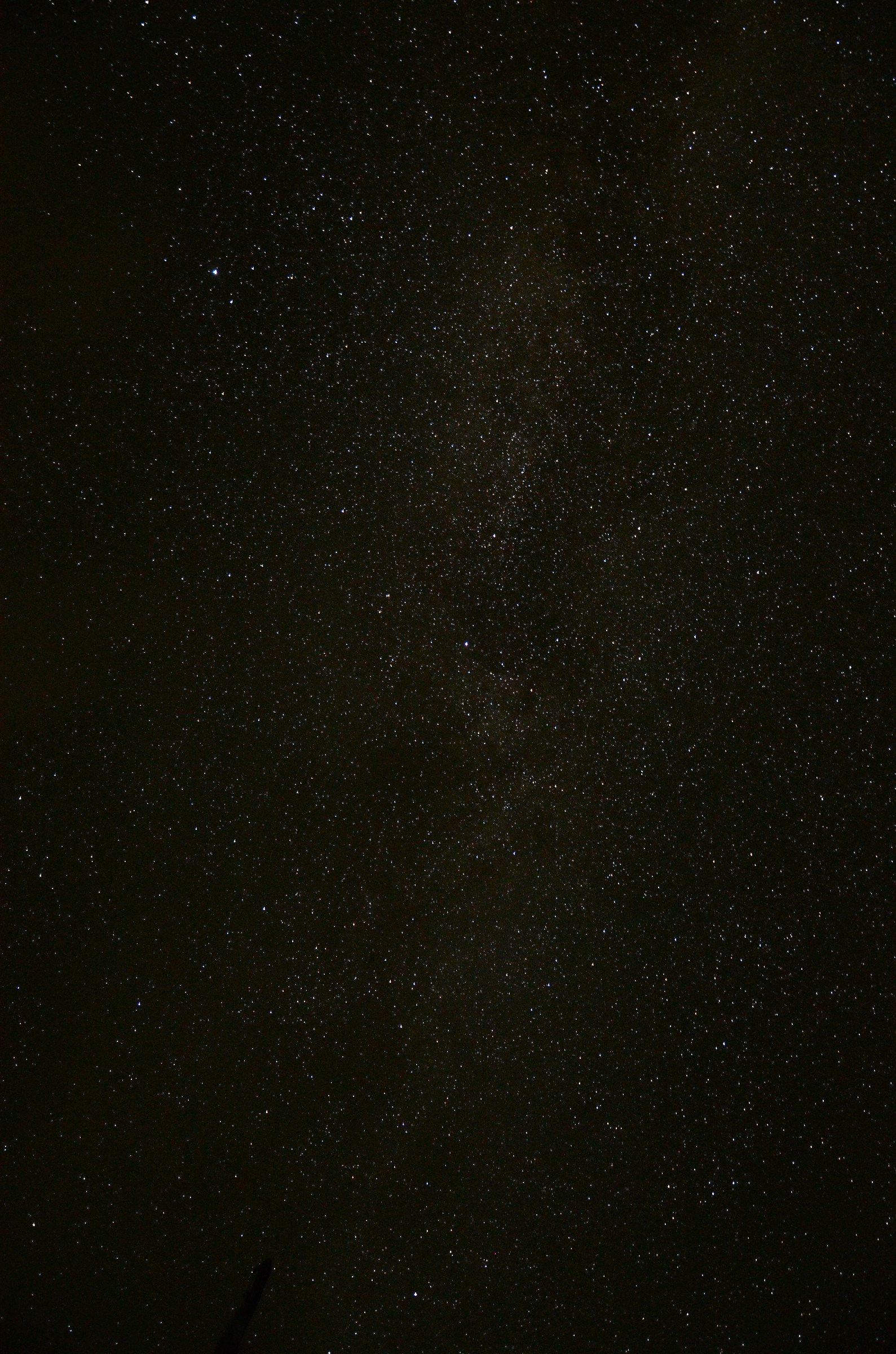 star hotel in Vezza d'Oglio