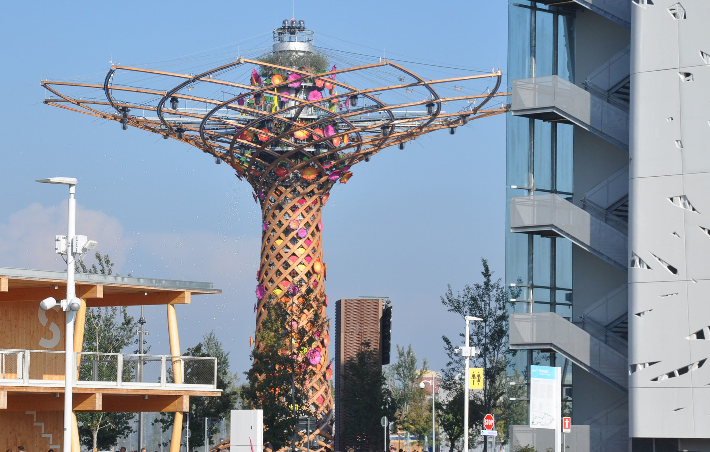 the tree of life day