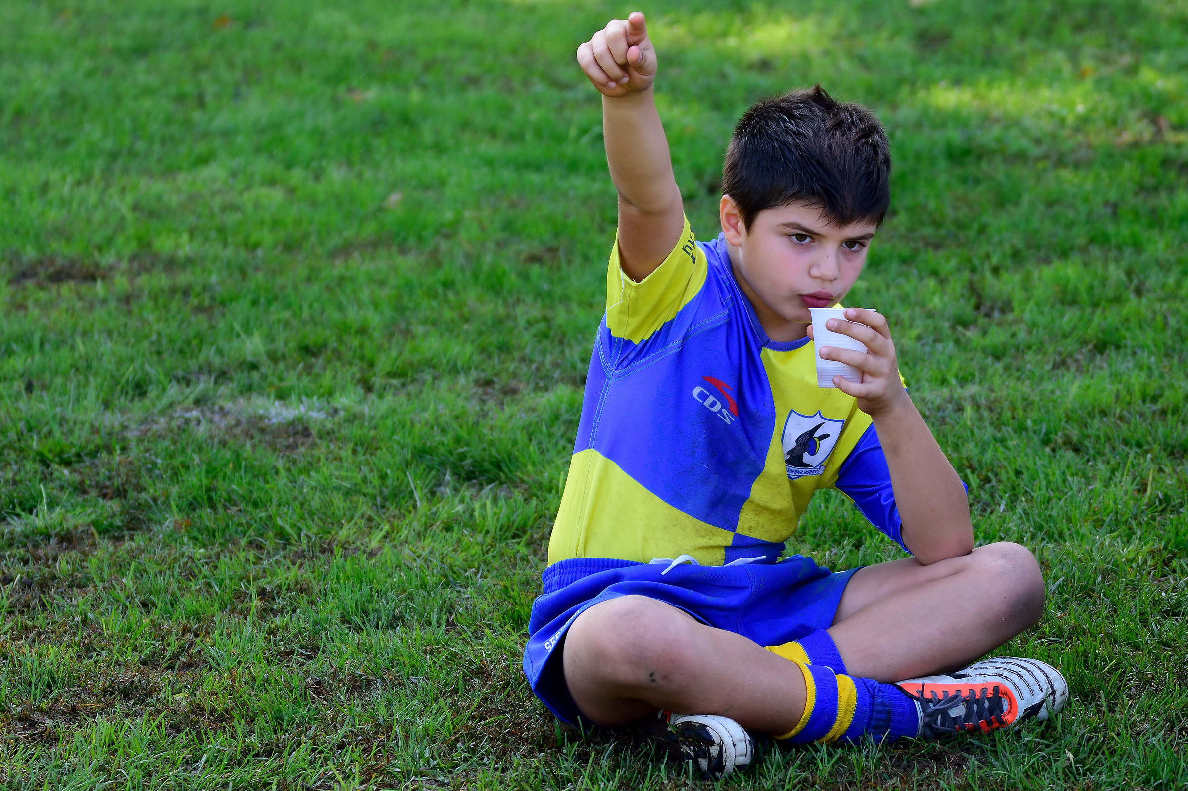 The rest of the rugby union