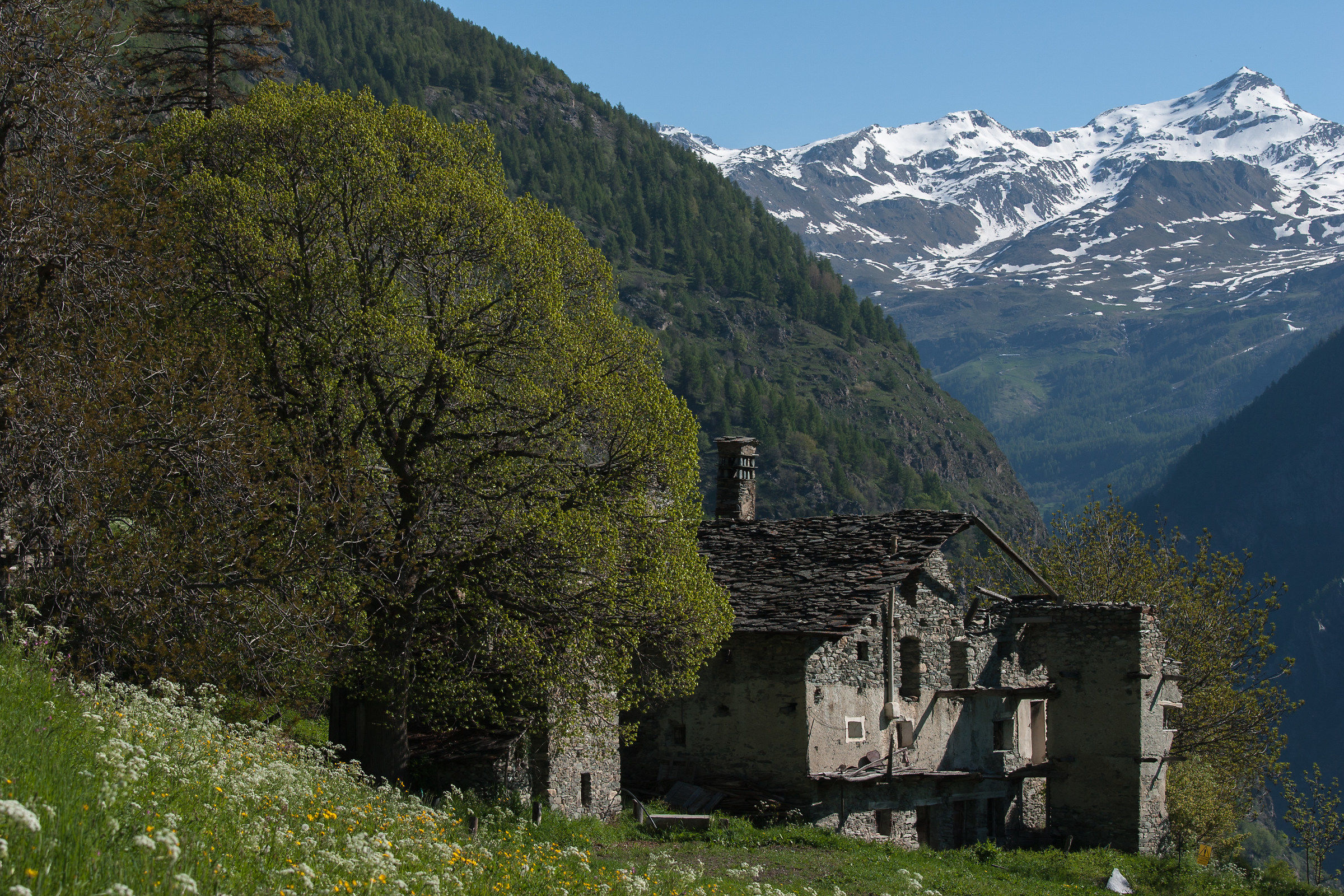 Simplicity in Petit-Monde