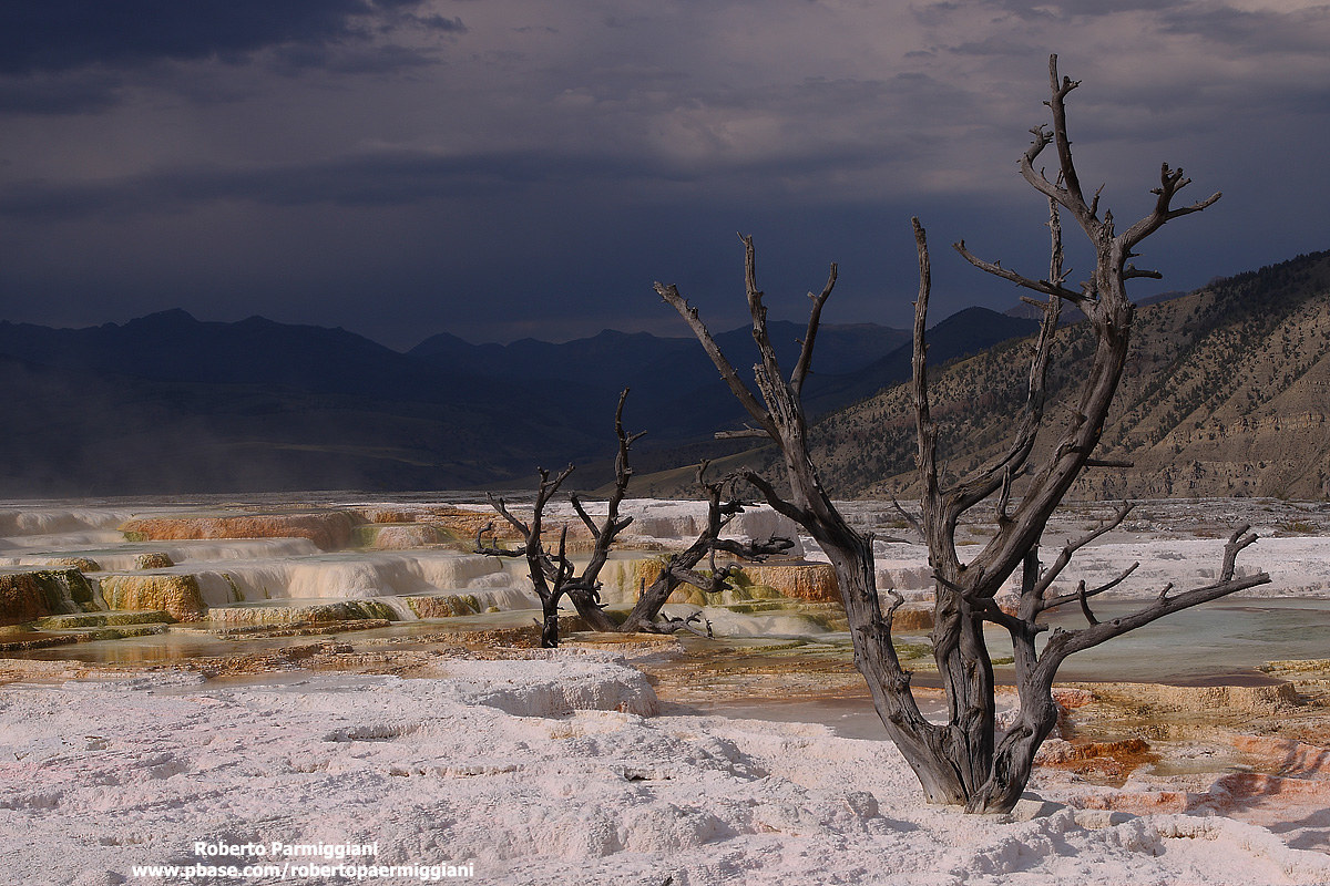 Prima della tempesta