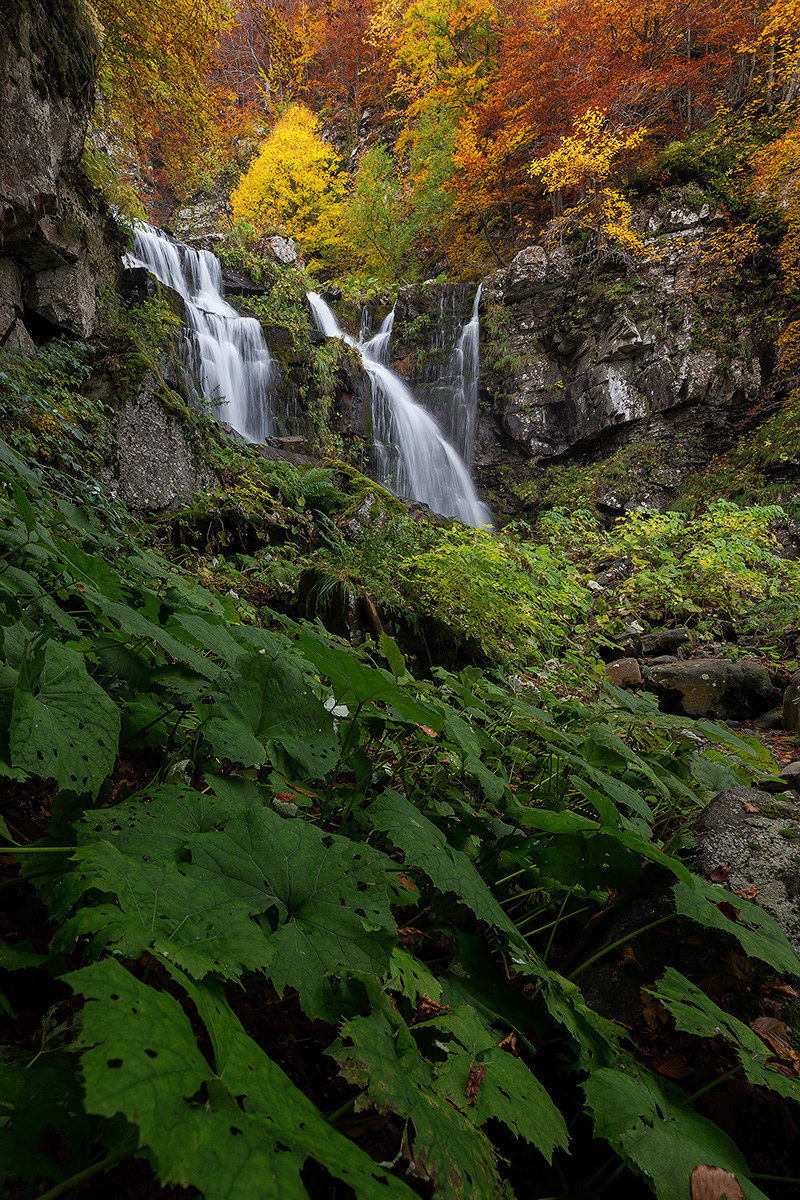 Diversificazioni al Dardagna