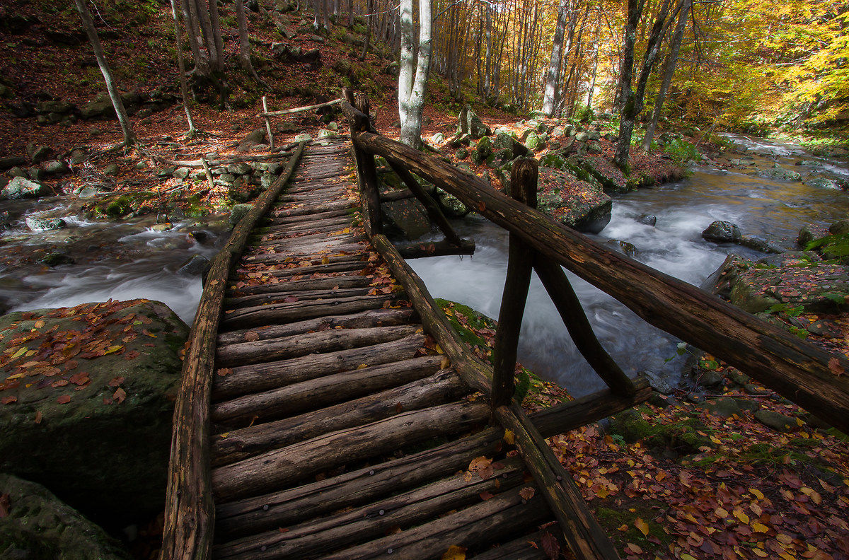 Il ponte e l'autunno ...