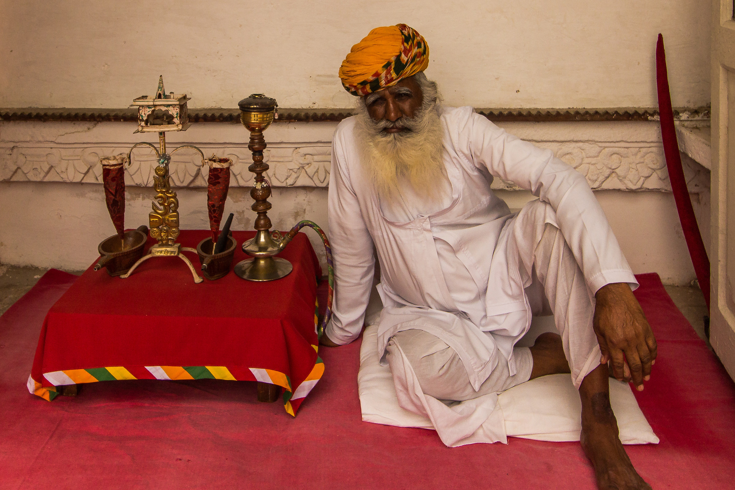 La mascotte di Mehrangarh