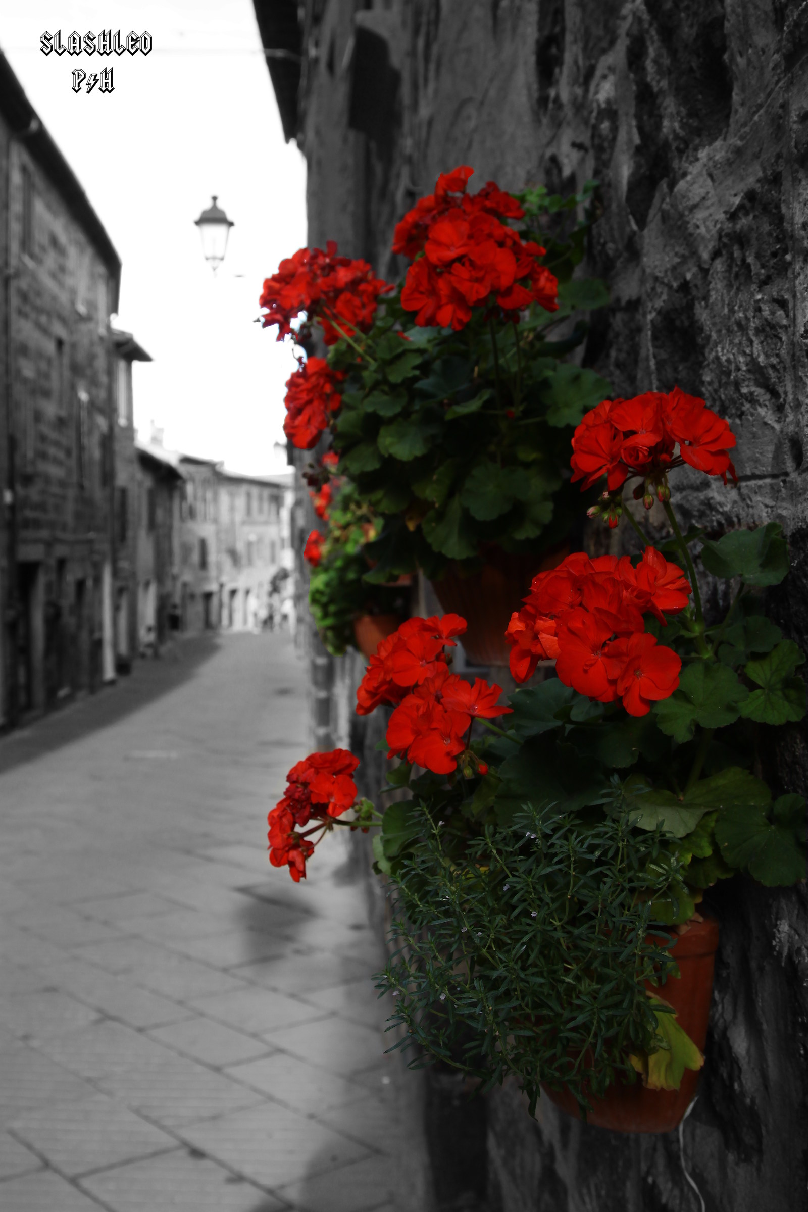 Predominante rosso passione...