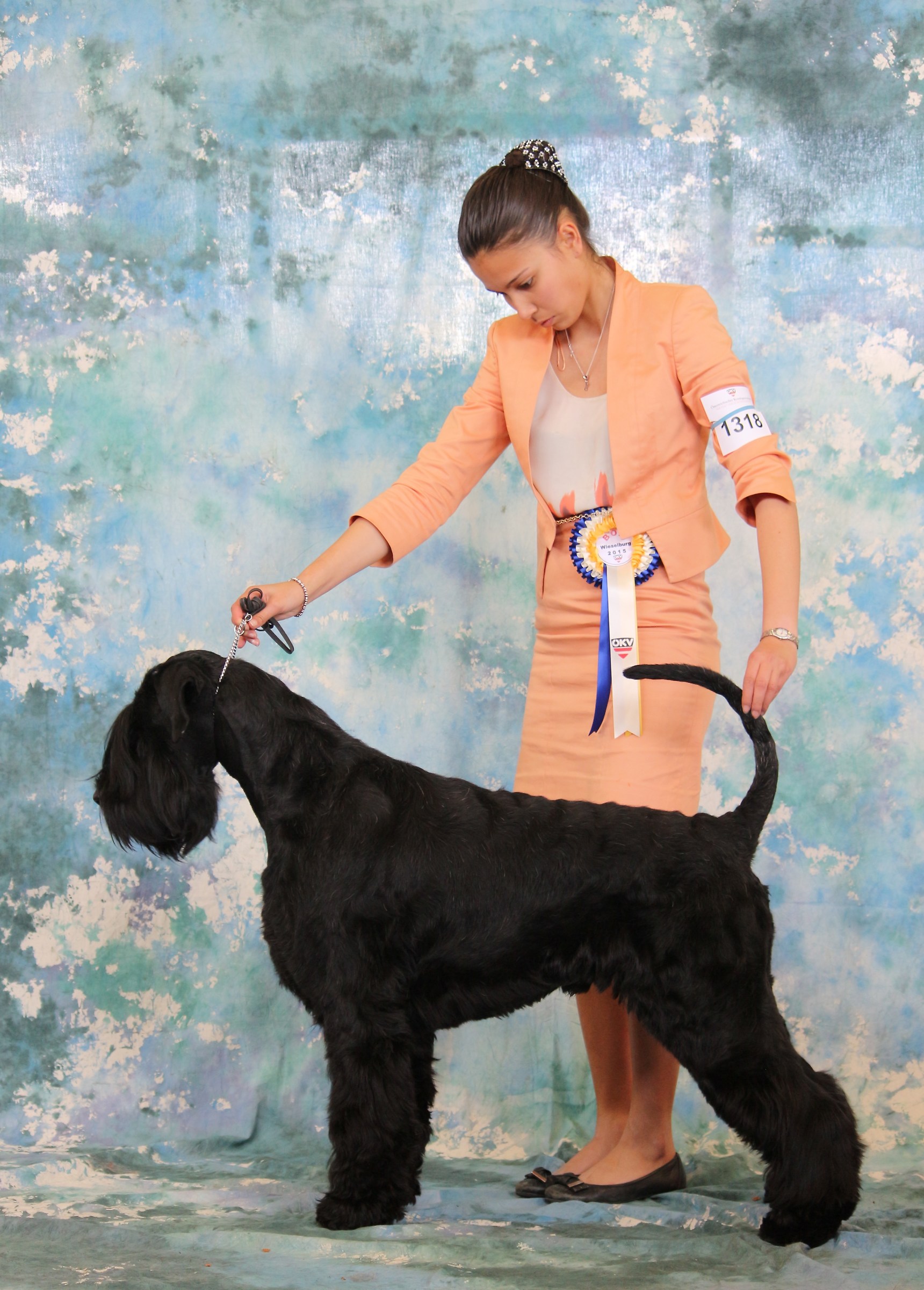 L'eleganza di un soggetto