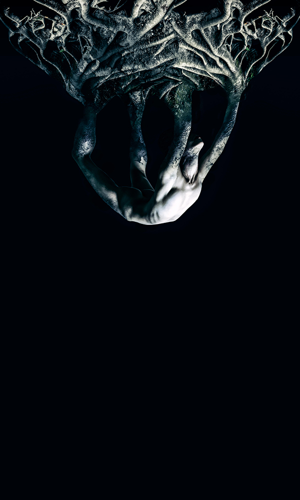 those who succumb to success