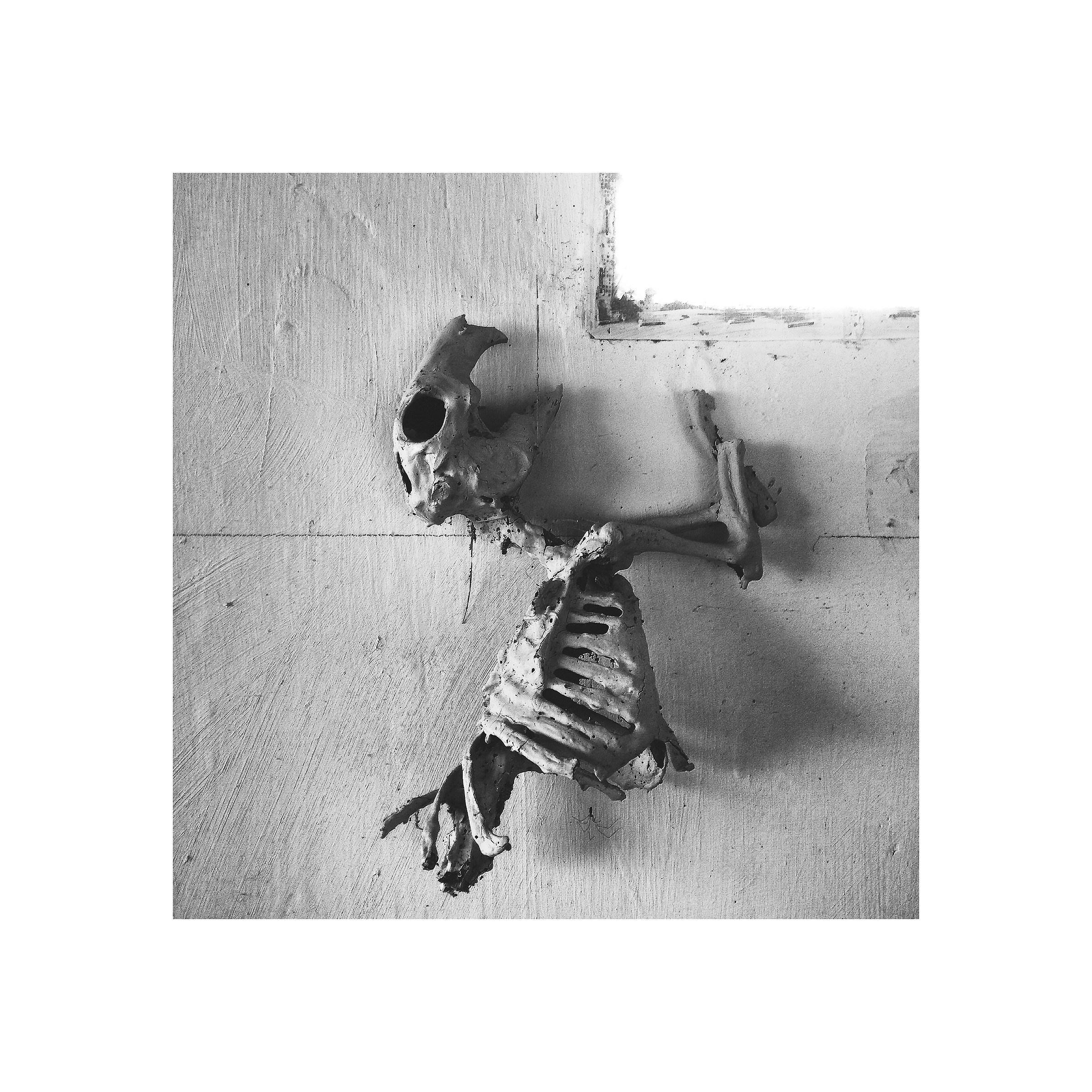 Vie di fuga, sbagliate.