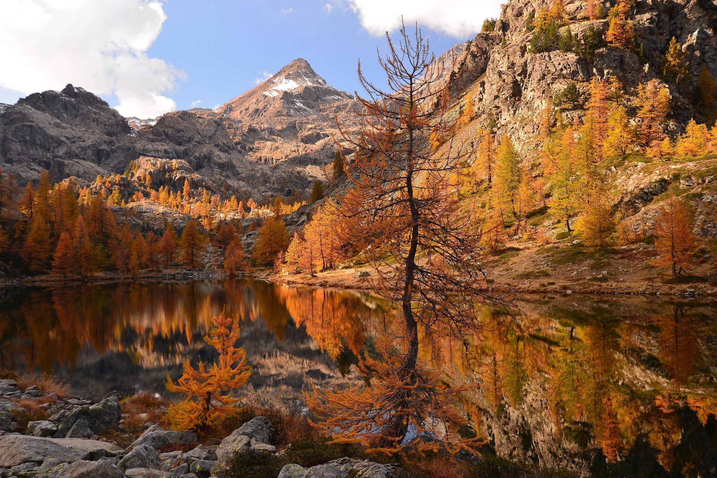 The colors of 'autumn