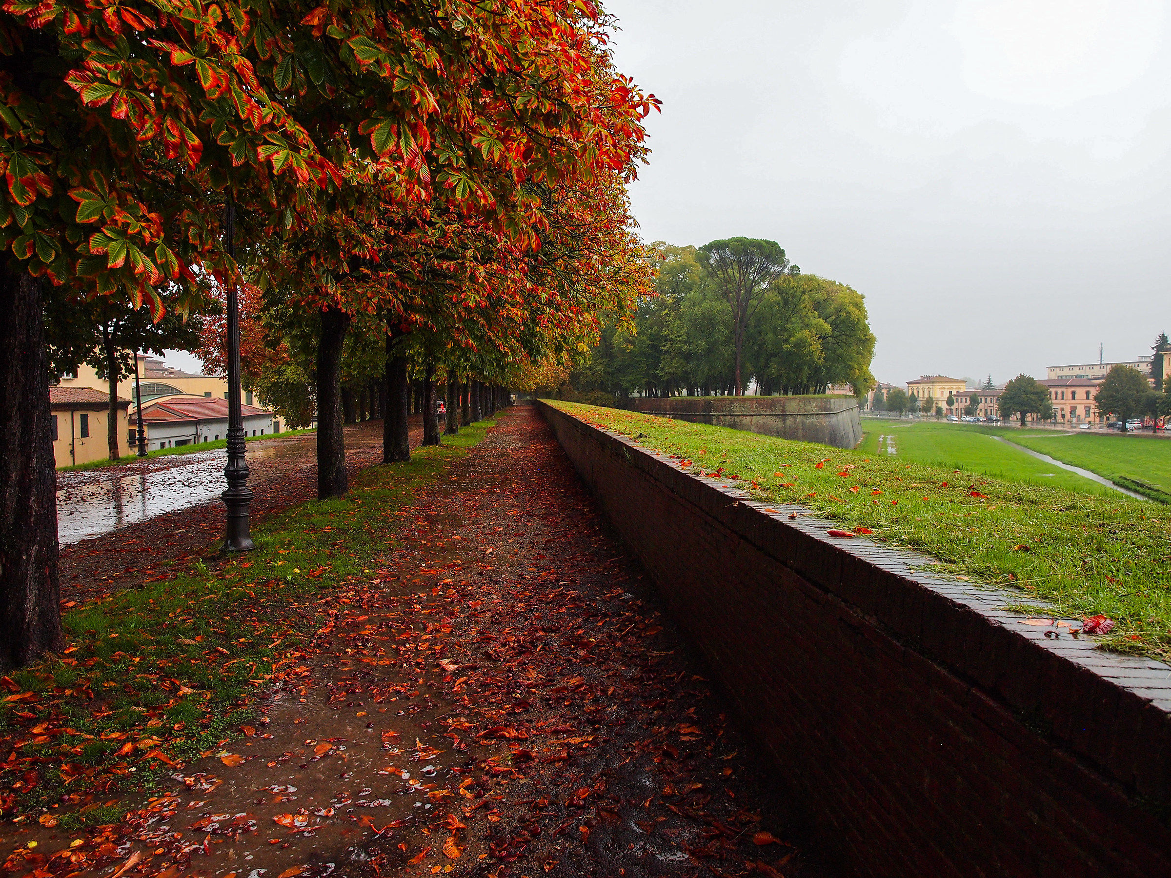 Autumn rain on the walls - 1 of 2