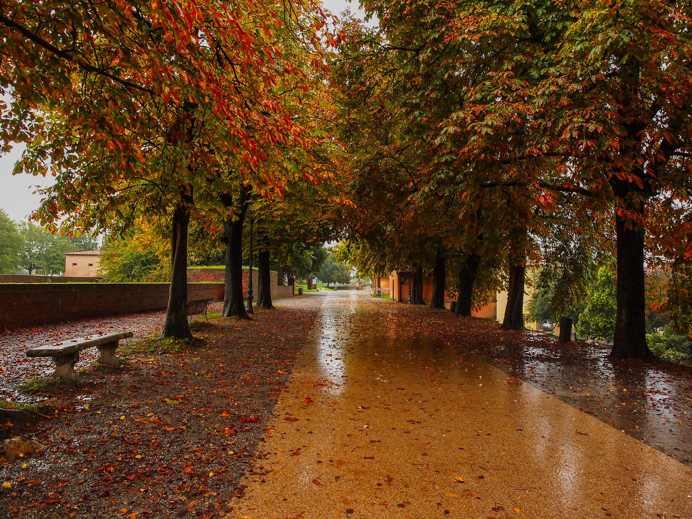 Autumn rain on the walls - 2 of 2