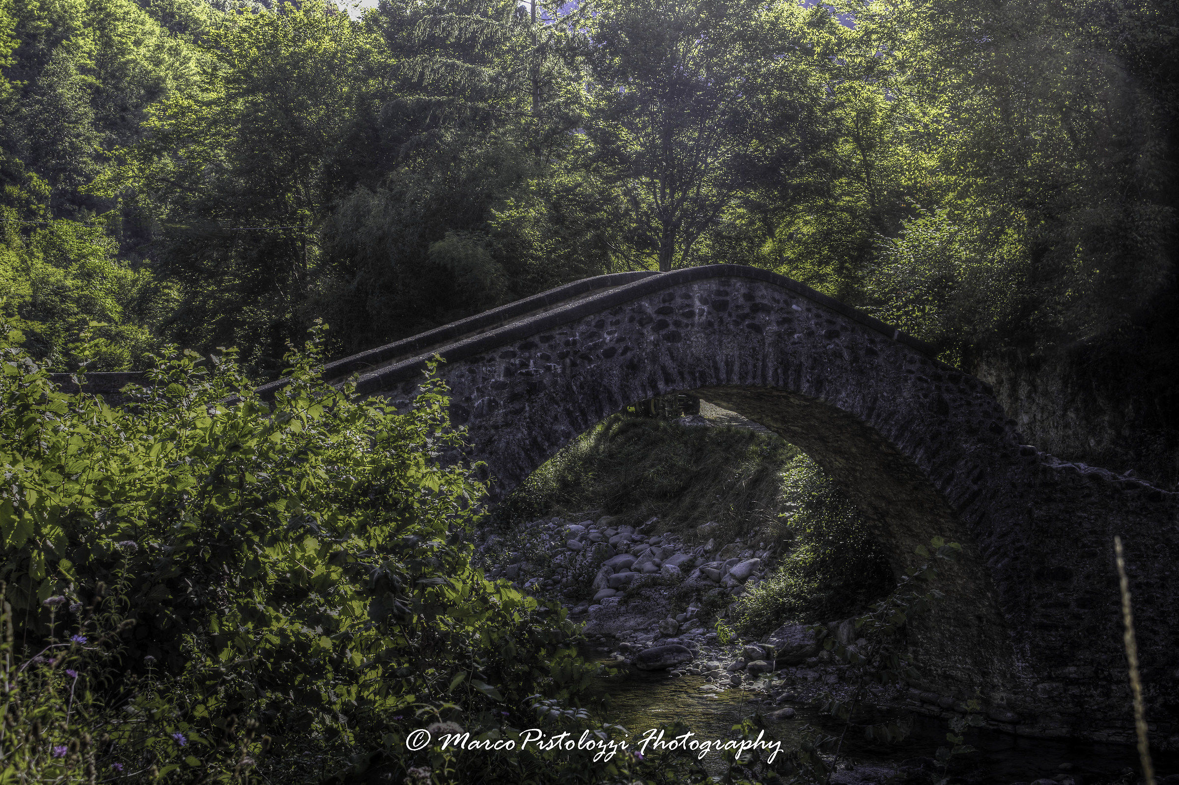Antico ponte sul Torrente Turrite "Parco delle Apuane&q...