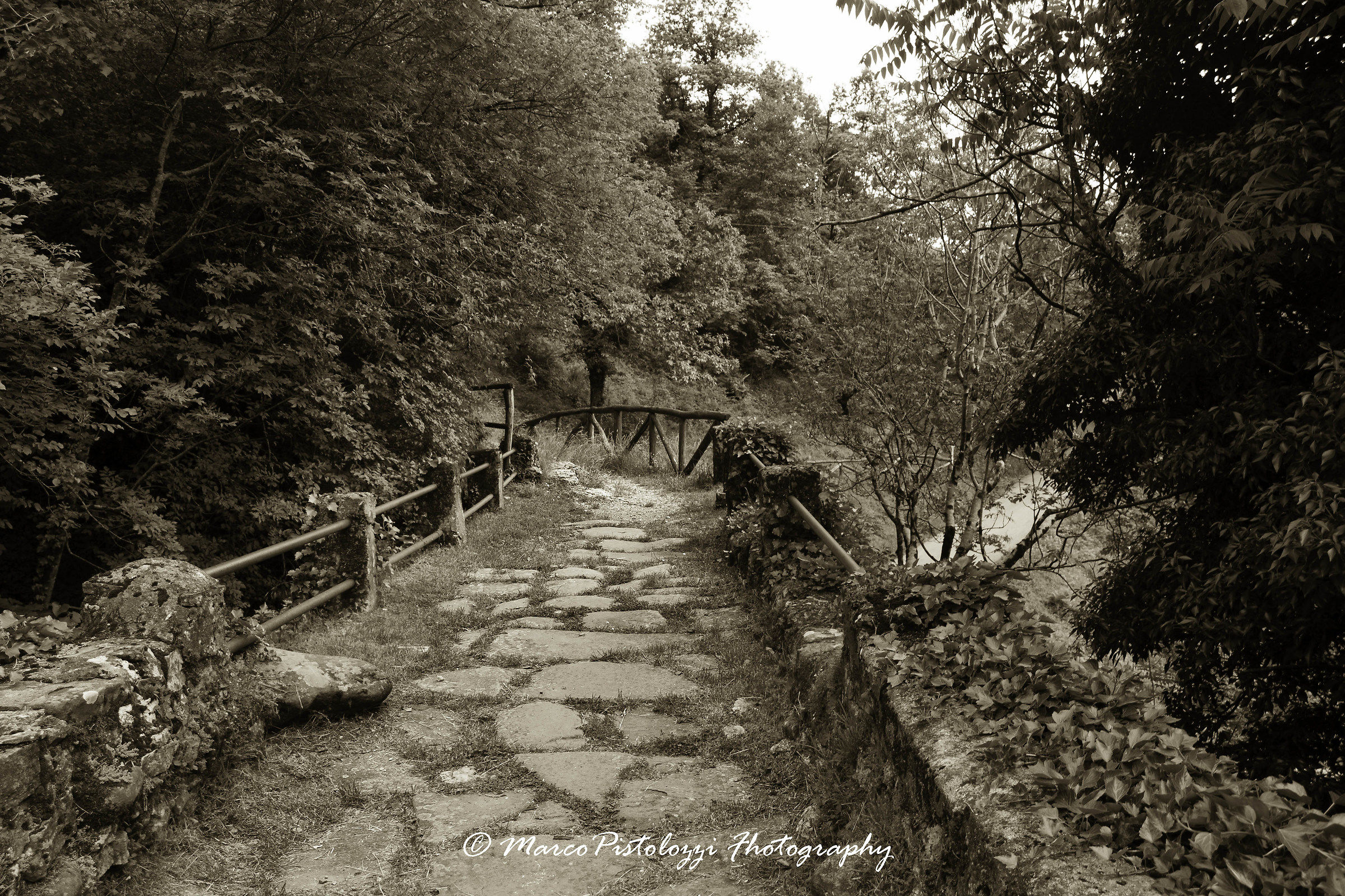 Ponticello all'ingresso dell'Orrido di  Botri