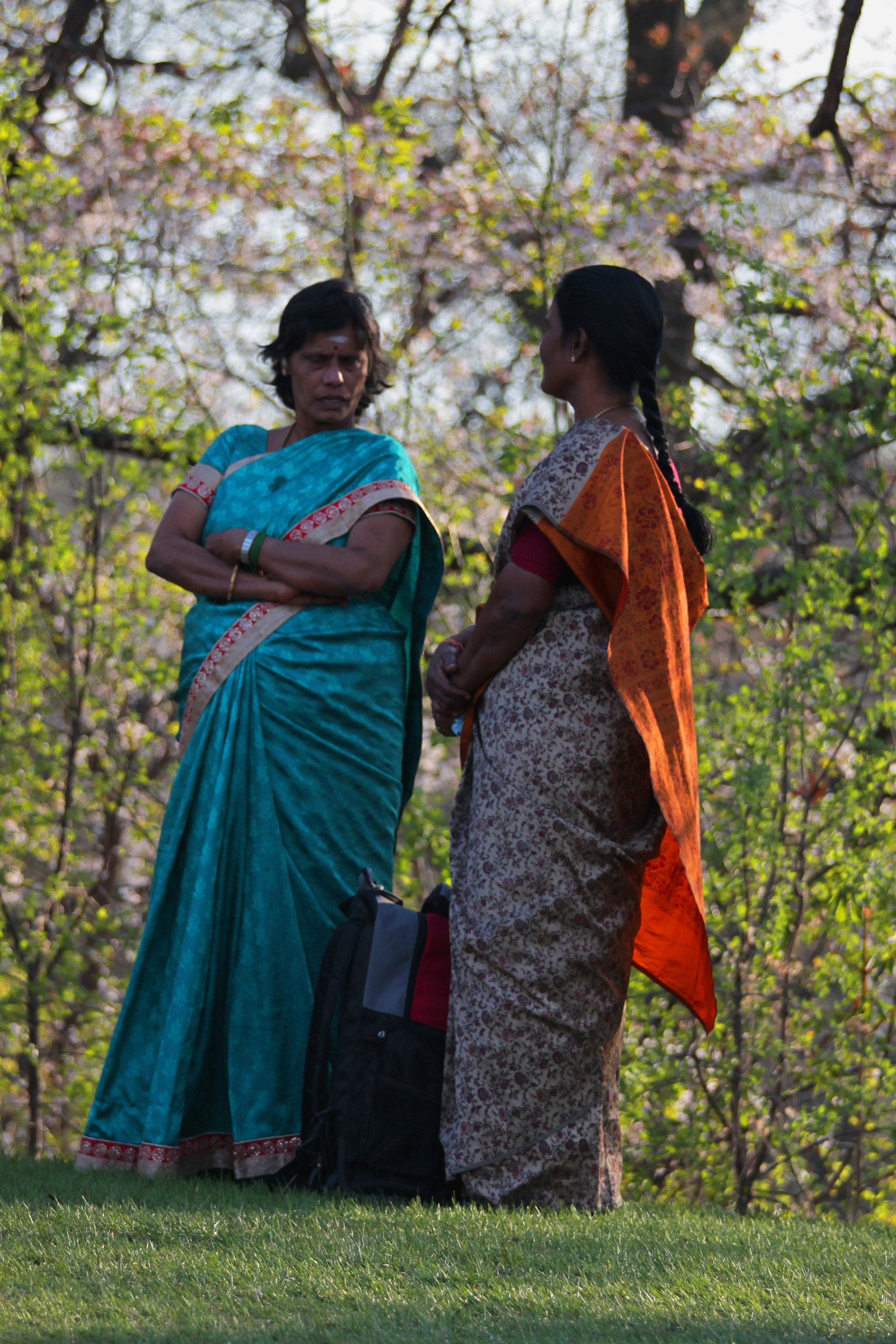 Indiane al parco - Toronto