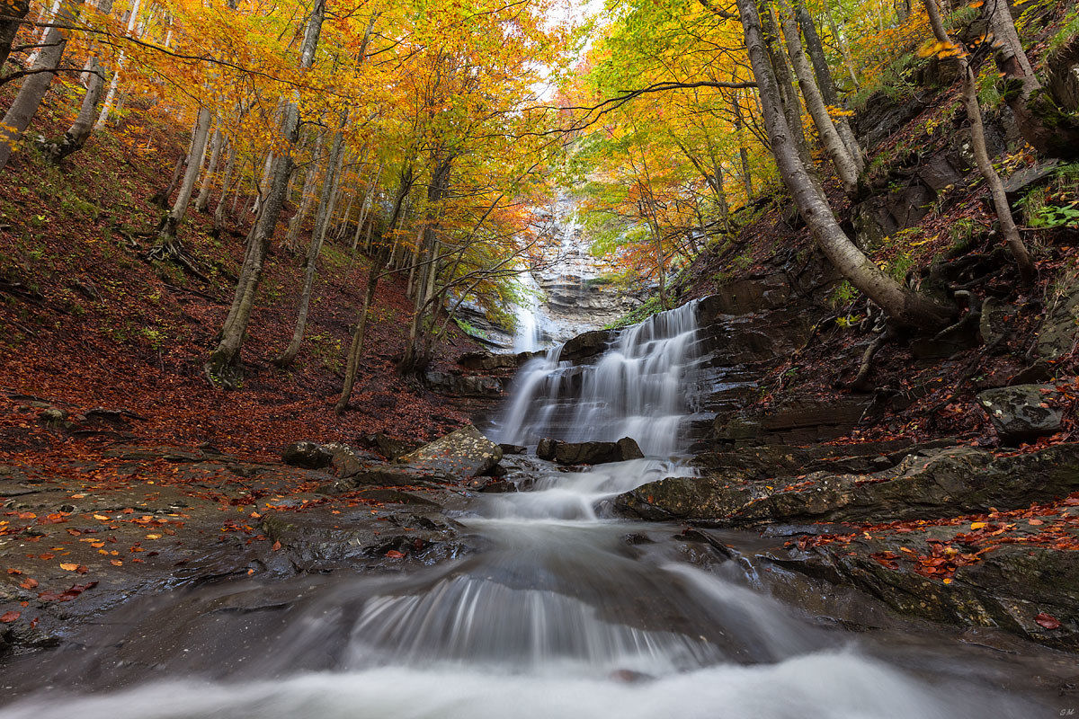 Niagara Lavacchiello