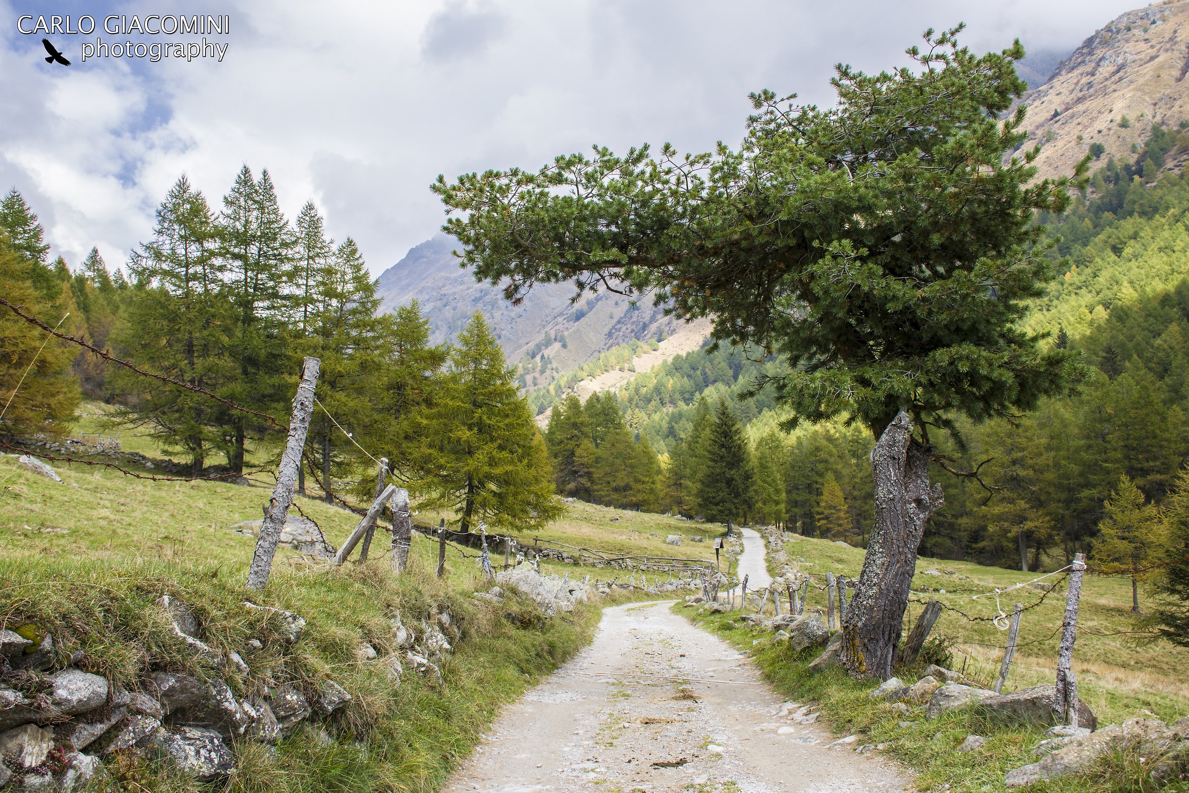 sentiero in Val Grande