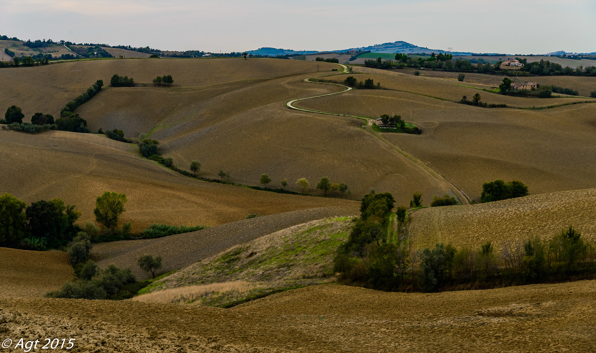 Pesaro hills