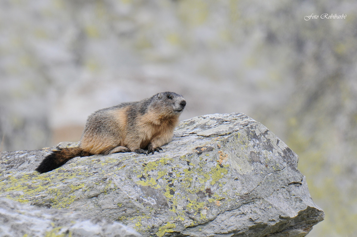 Dominando la valle...