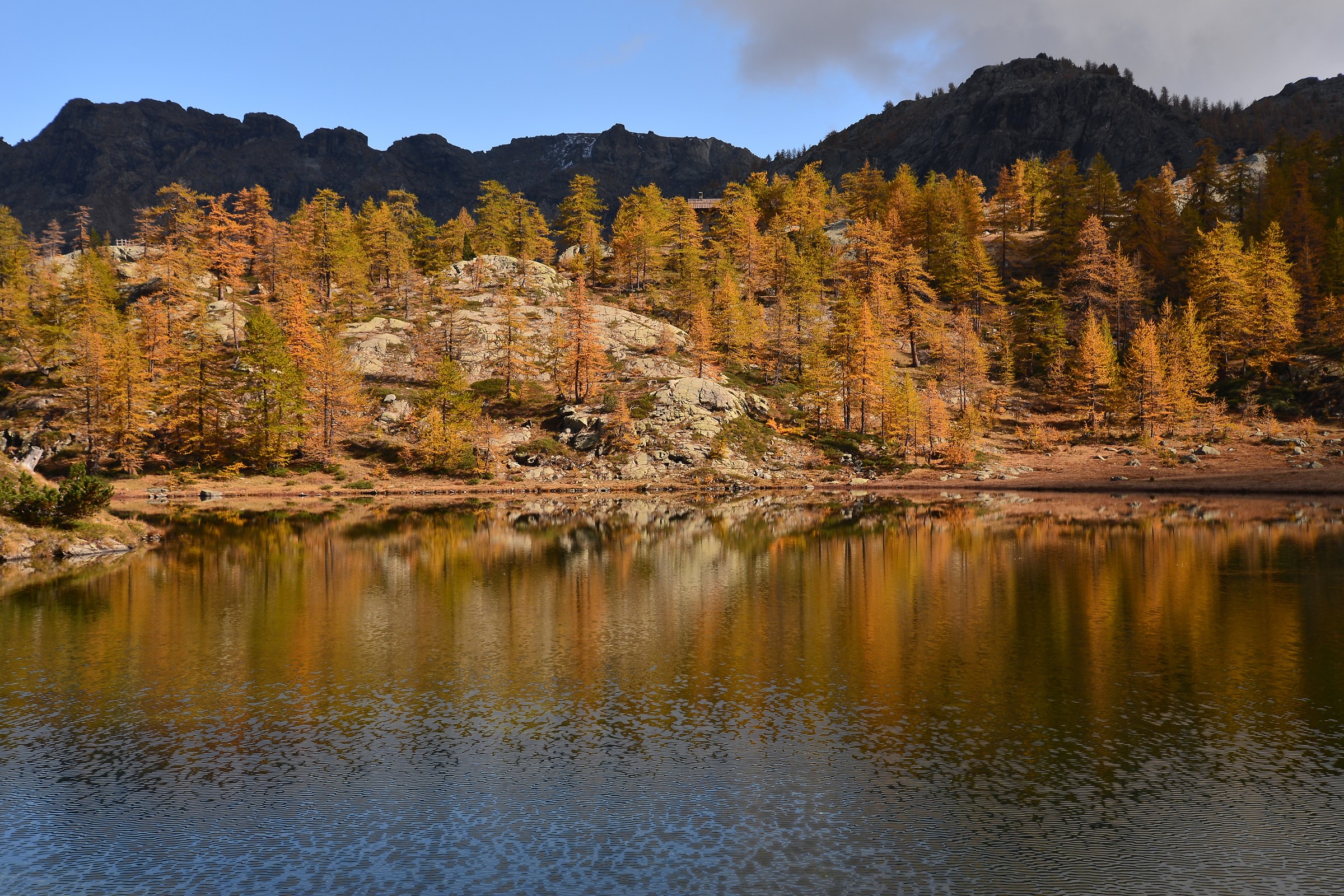 Il rif. Barbustel fa capolino tra i larici